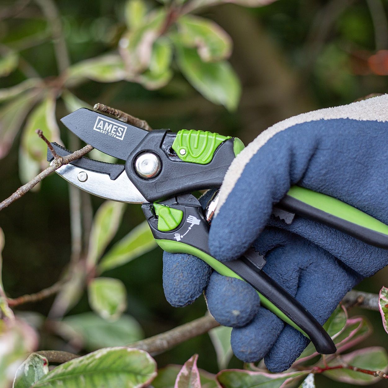 AMES Multi-Function Anvil Pruner