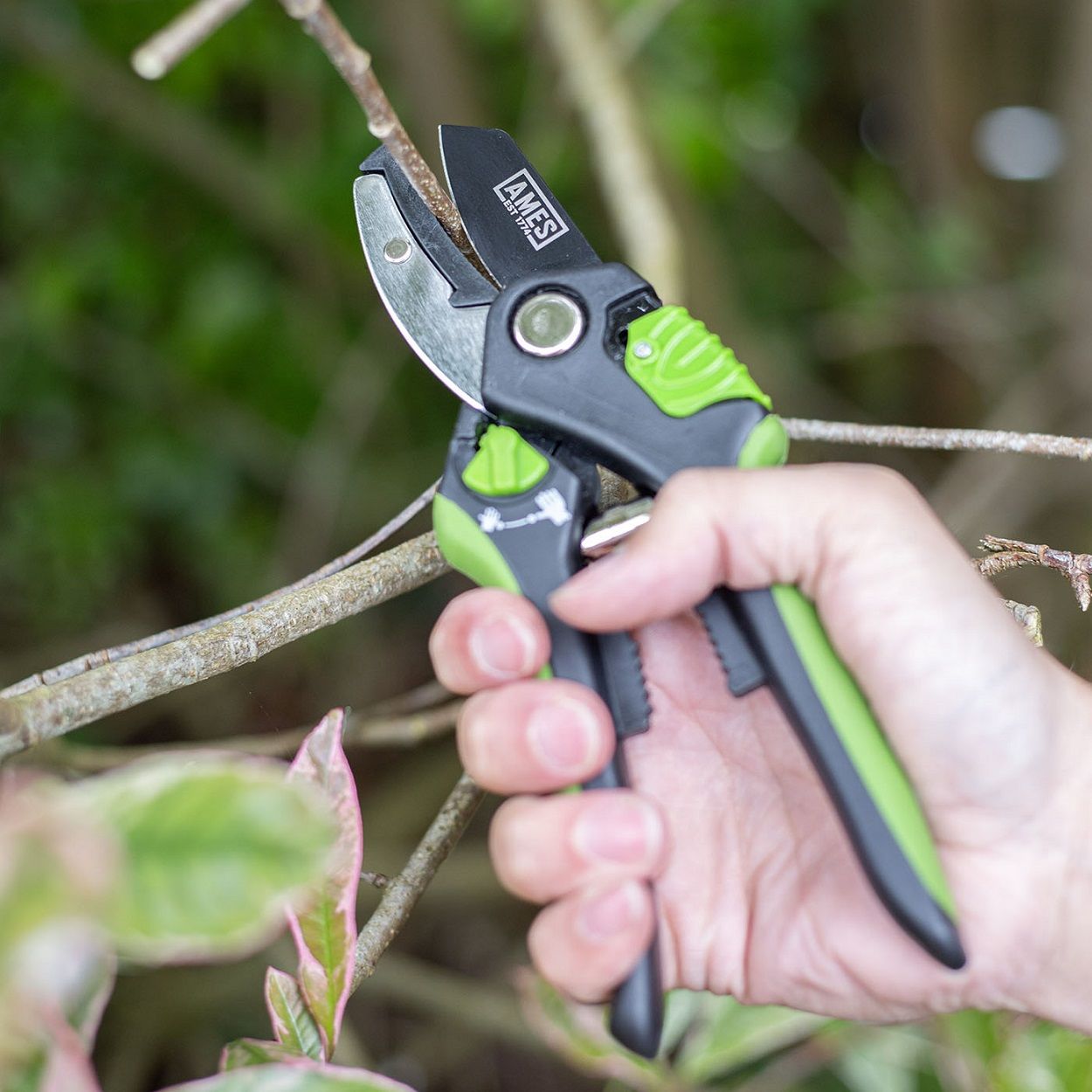 AMES Multi-Function Anvil Pruner