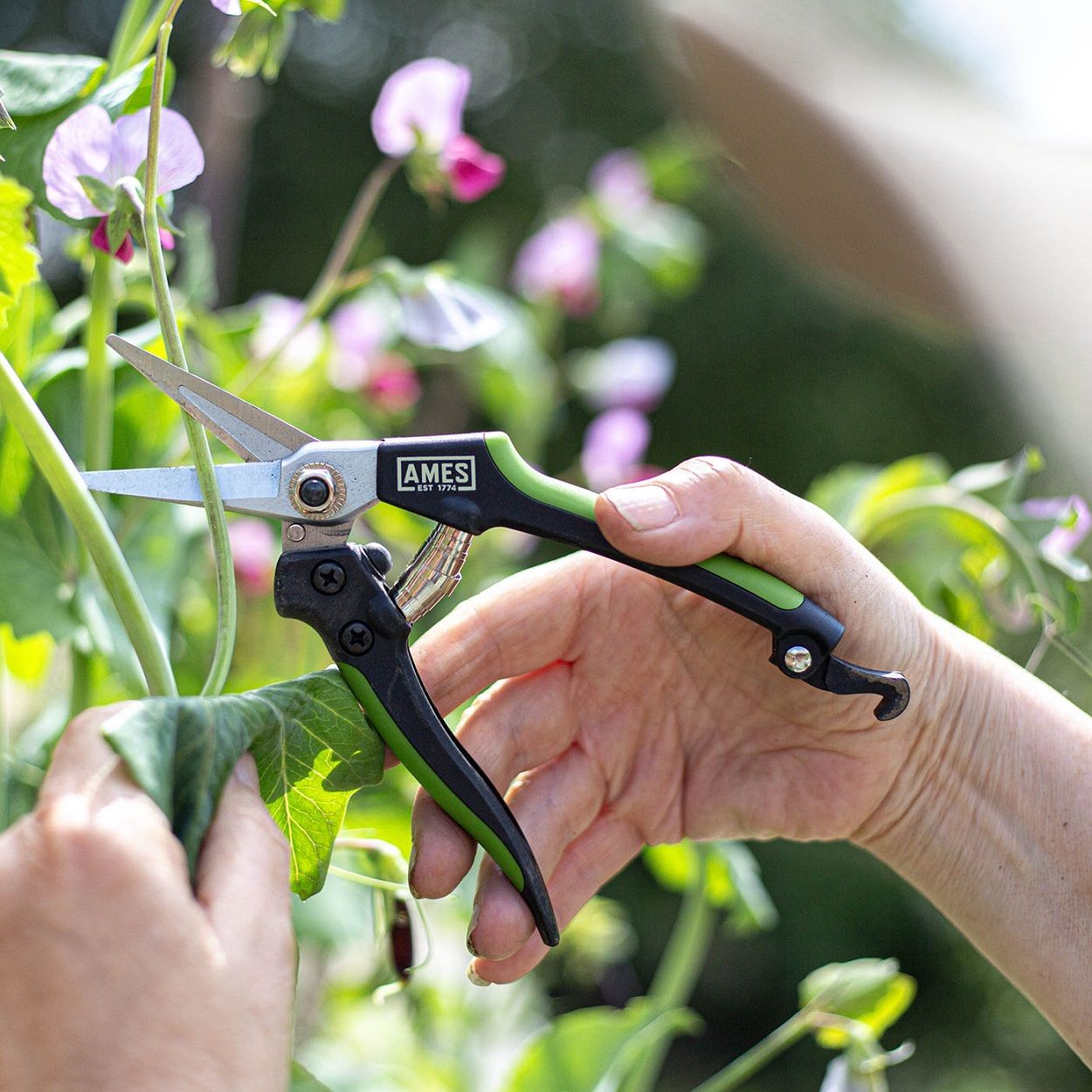 AMES Precision Snips