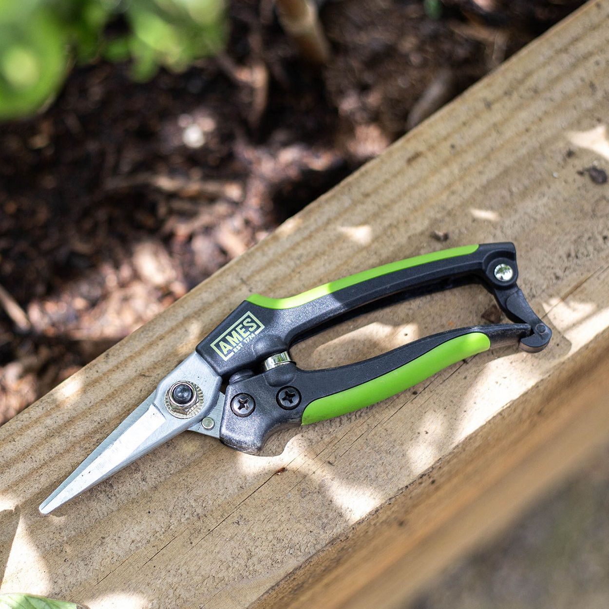 AMES Precision Snips