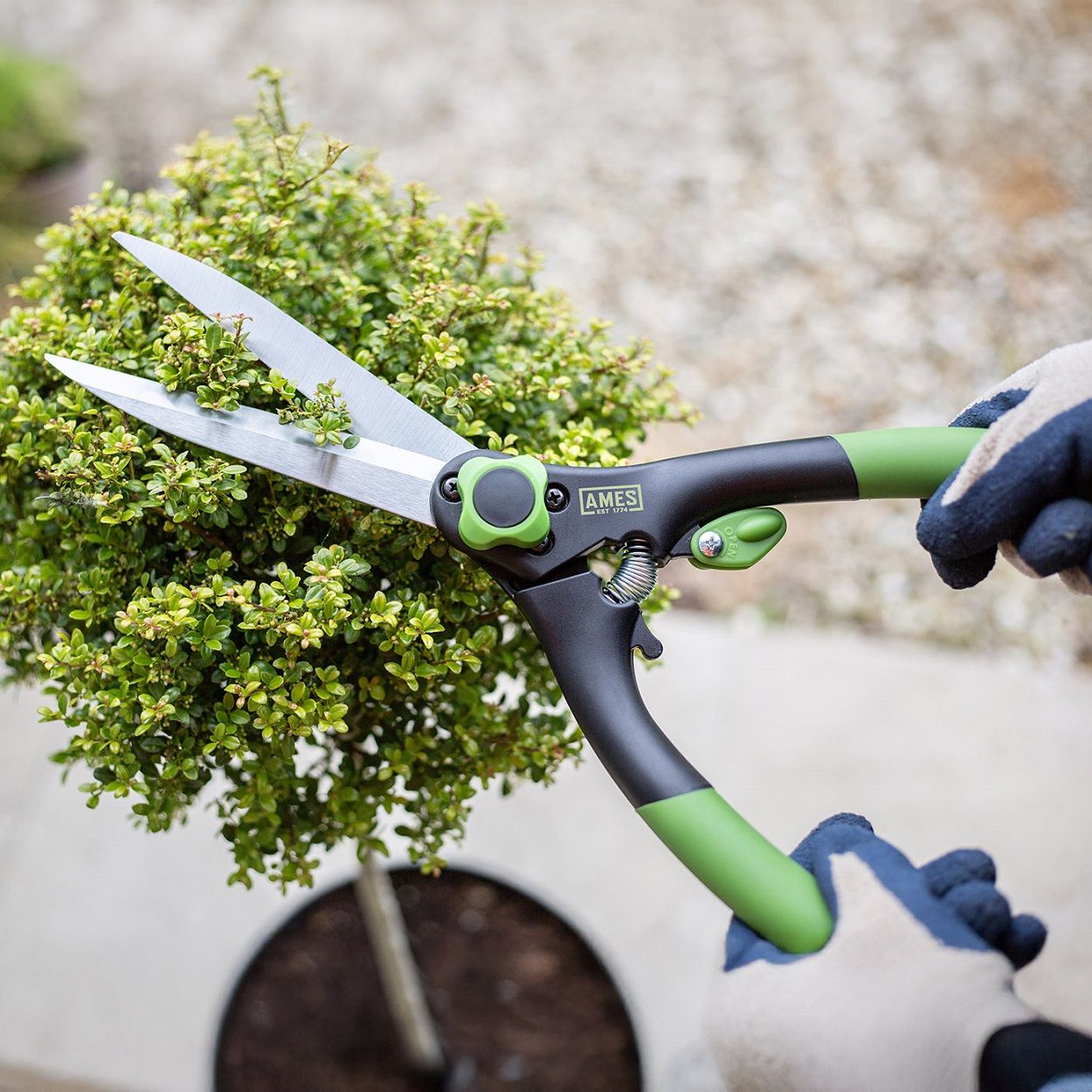 AMES Hand Shears