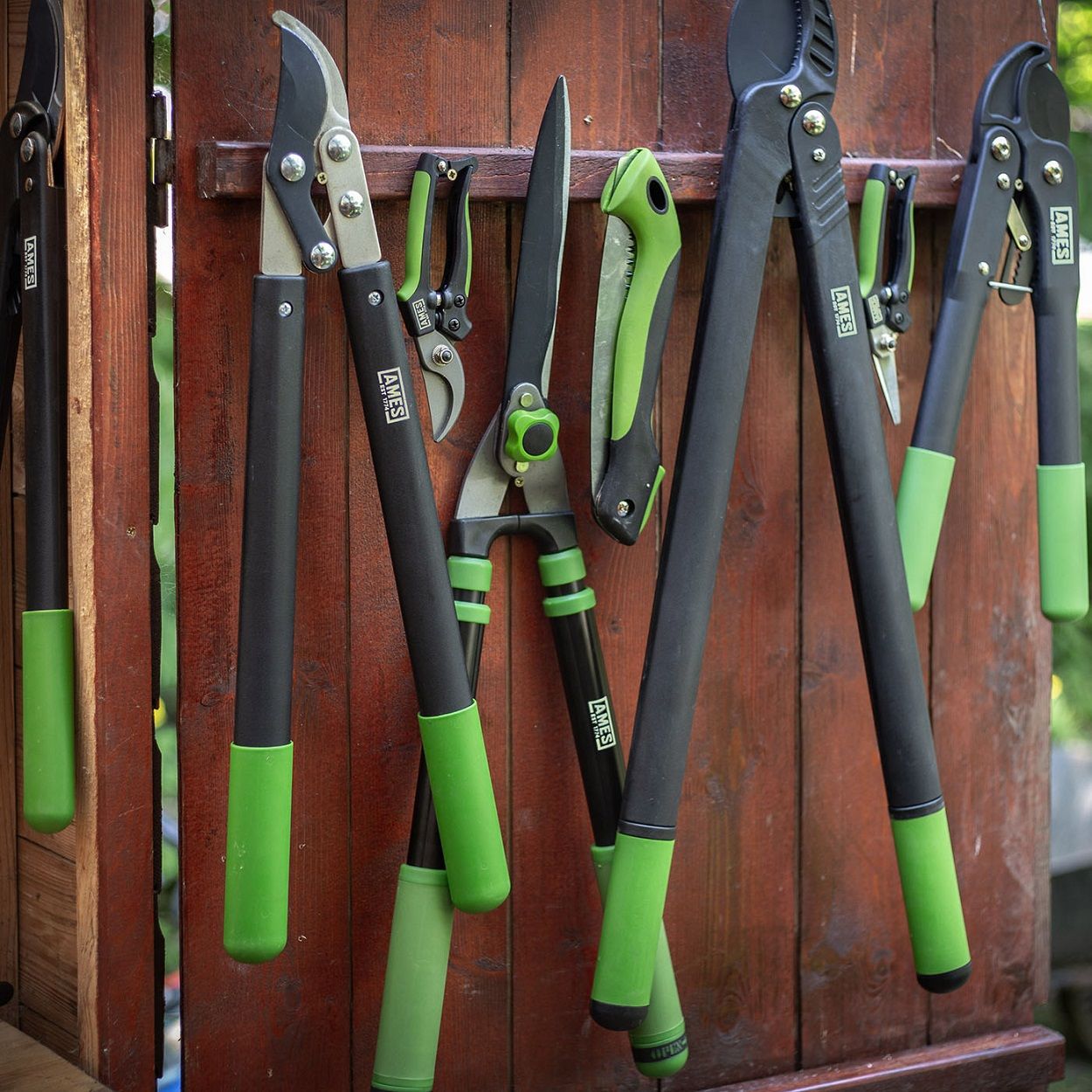 AMES Hand Shears