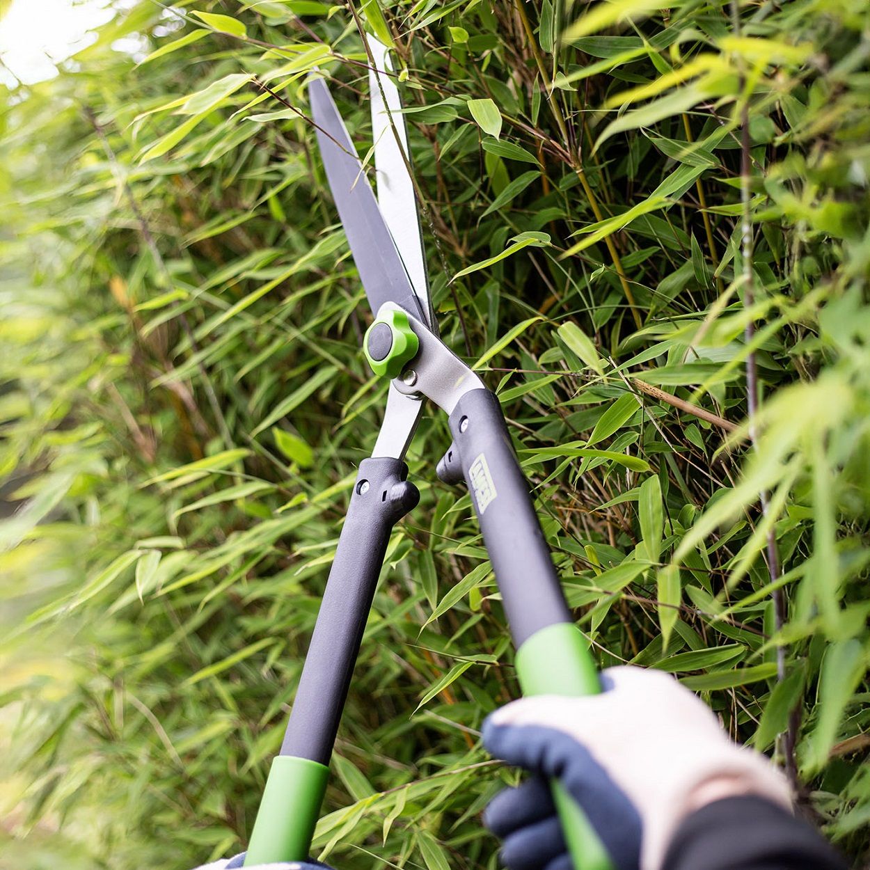 AMES Hedge Shears