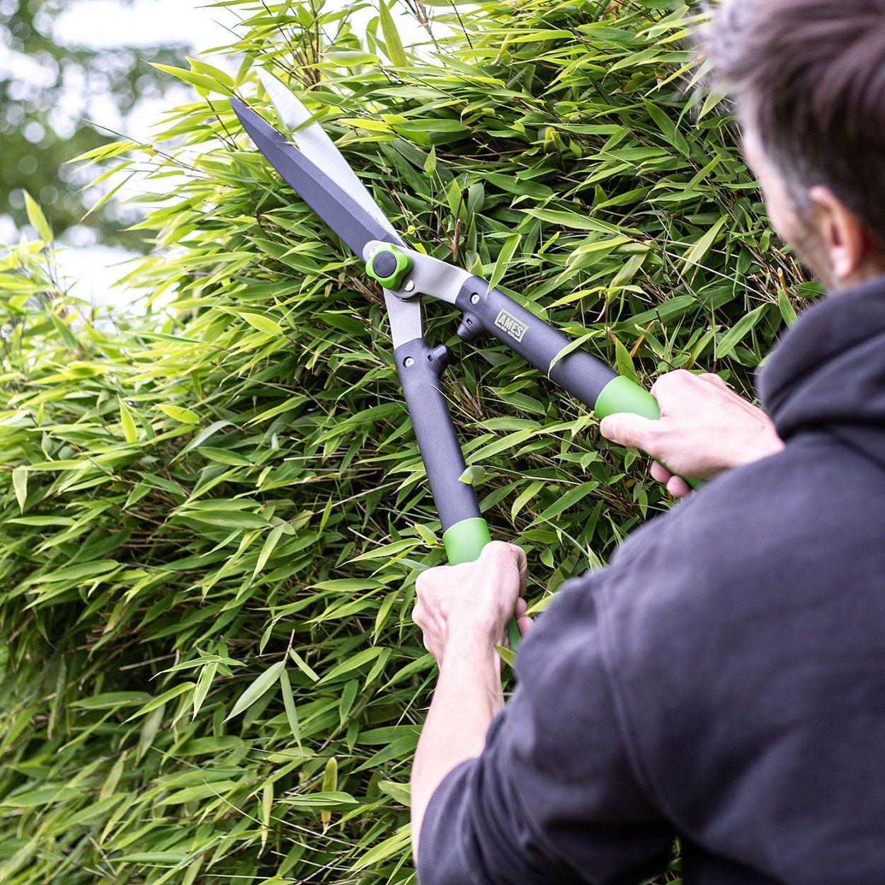 AMES Hedge Shears
