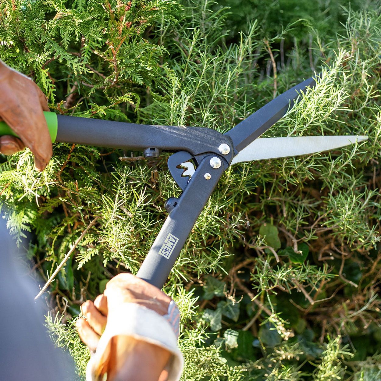 AMES Geared Hedge Shears