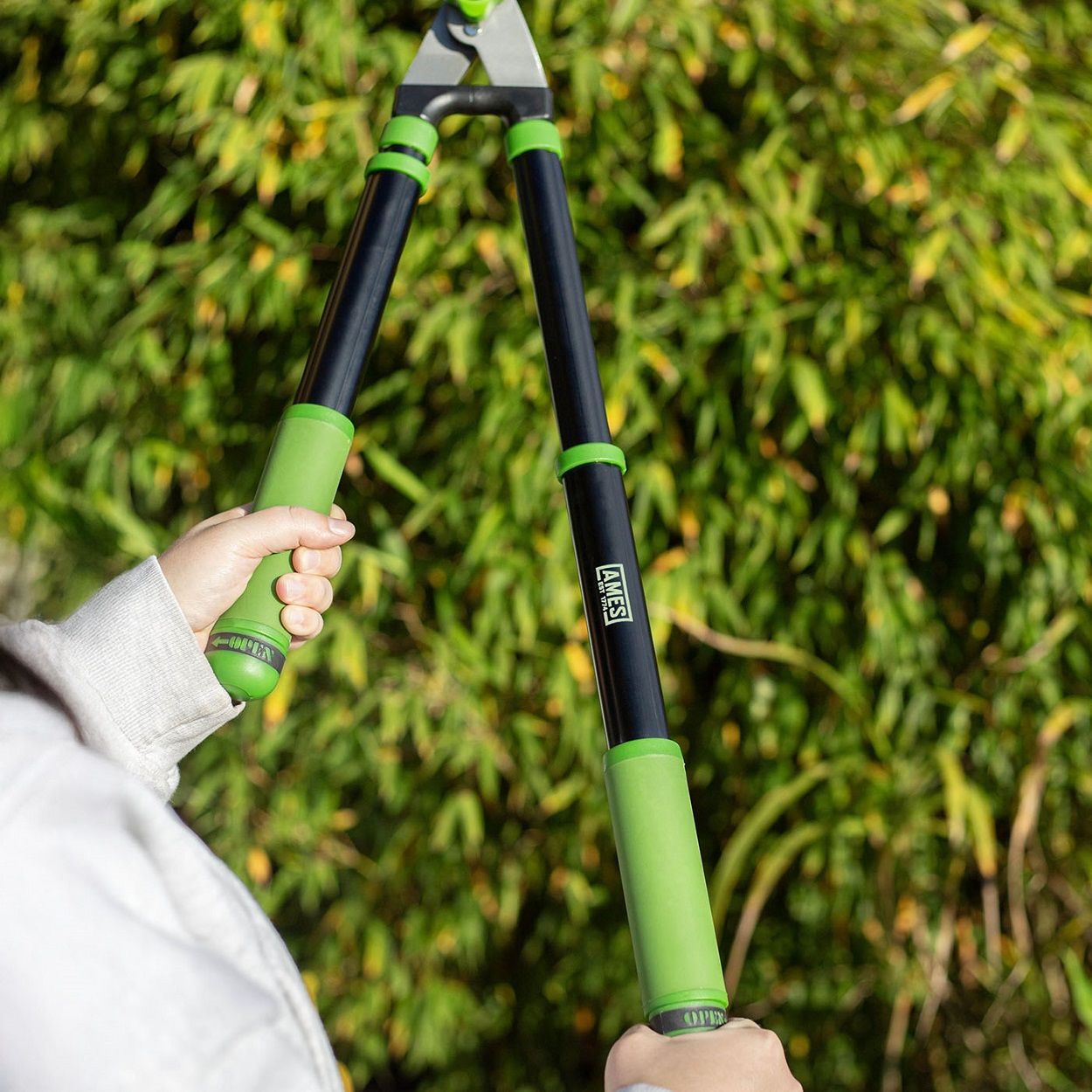 AMES Telescopic Hedge Shears