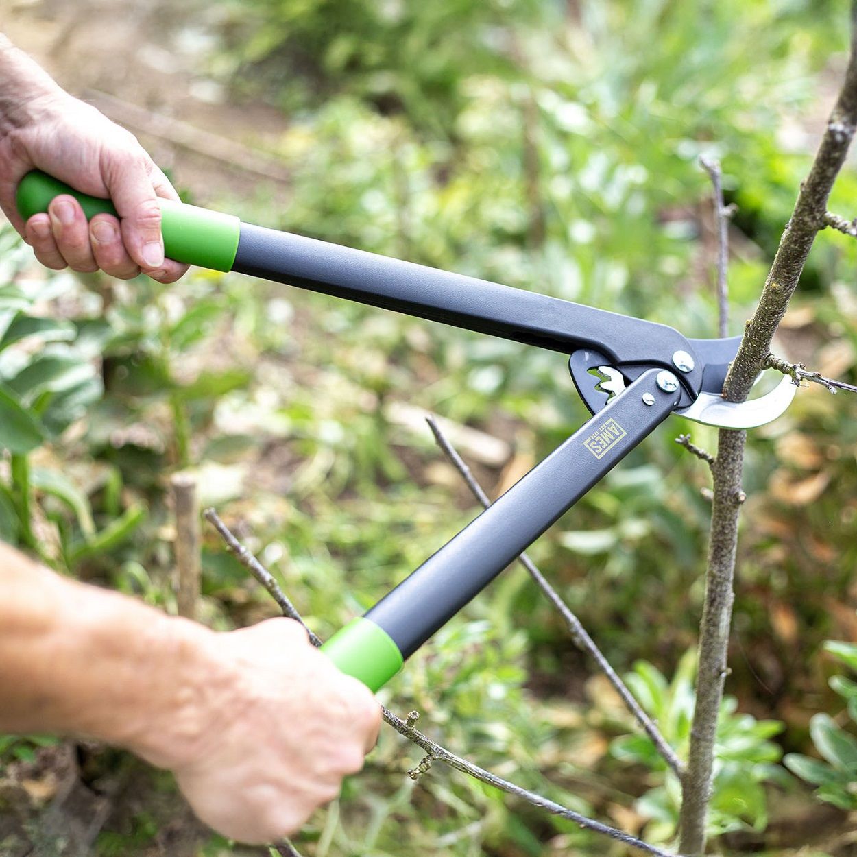 AMES Geared Bypass Lopper