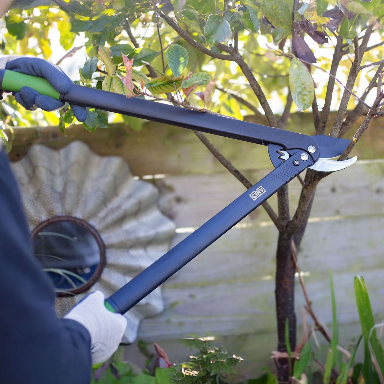 AMES Long Reach Geared Bypass Lopper