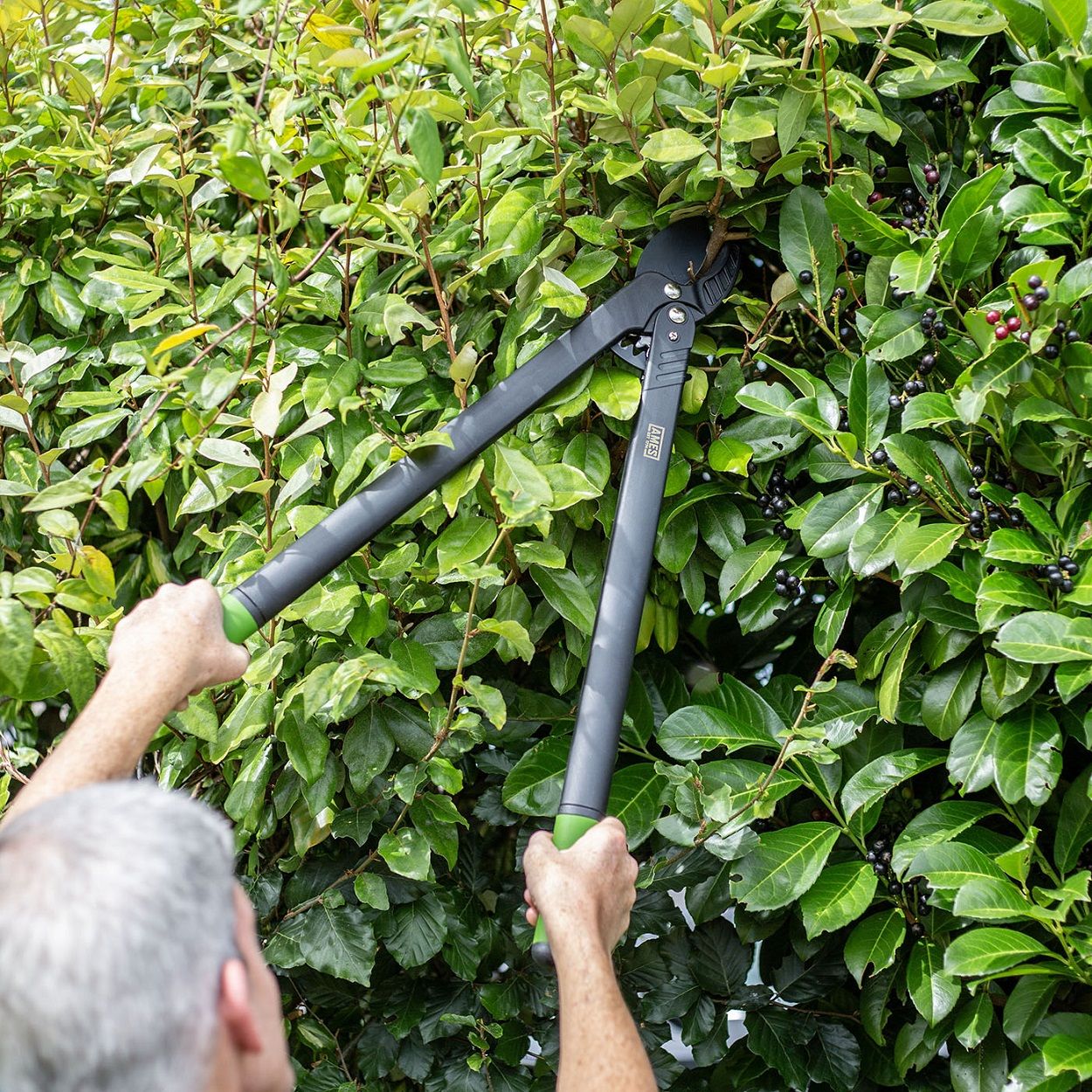 AMES Long Reach Geared Anvil Lopper