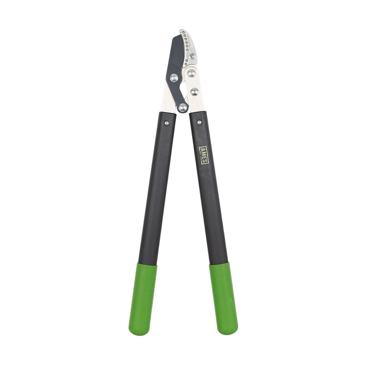 AMES Compound Anvil Lopper