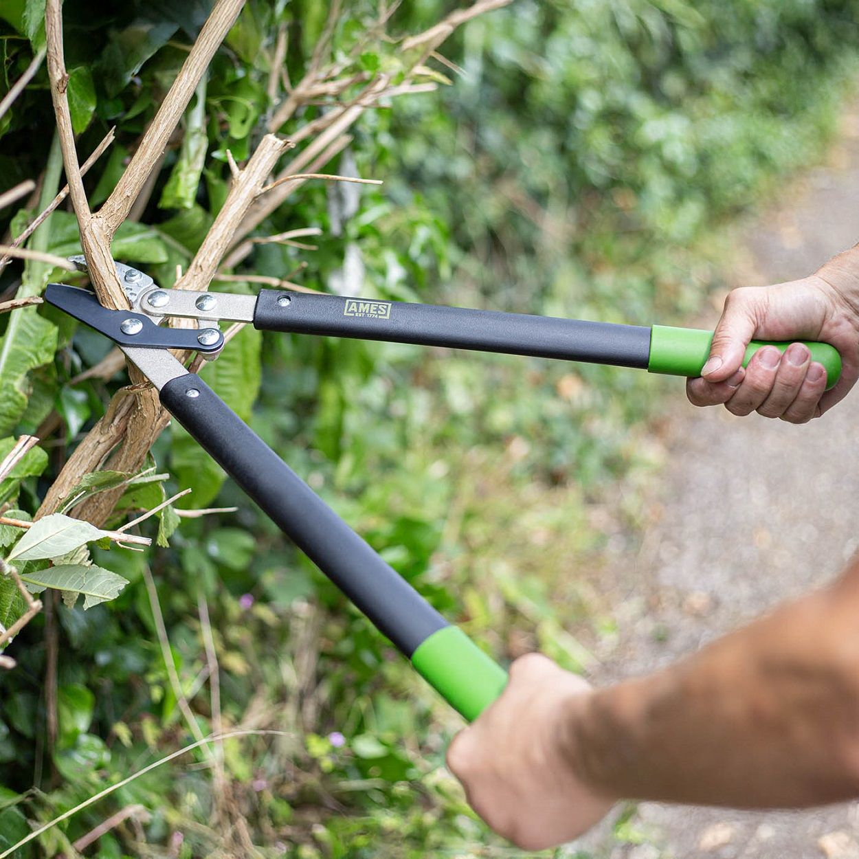 AMES Compound Anvil Lopper
