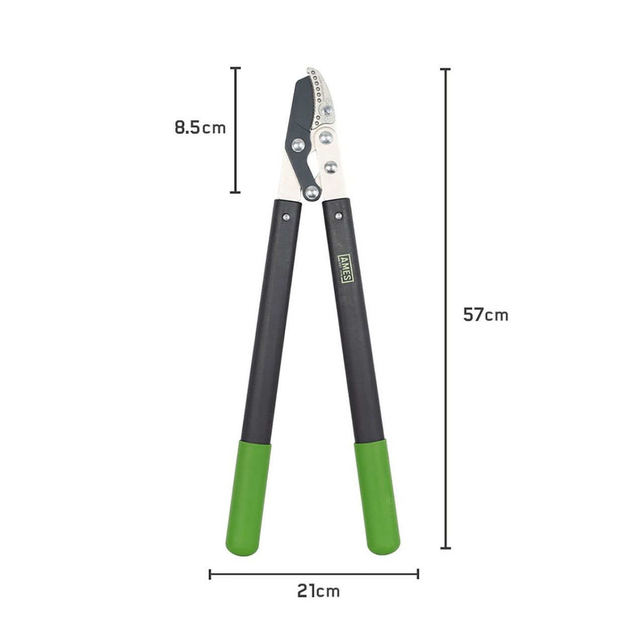 AMES Compound Anvil Lopper