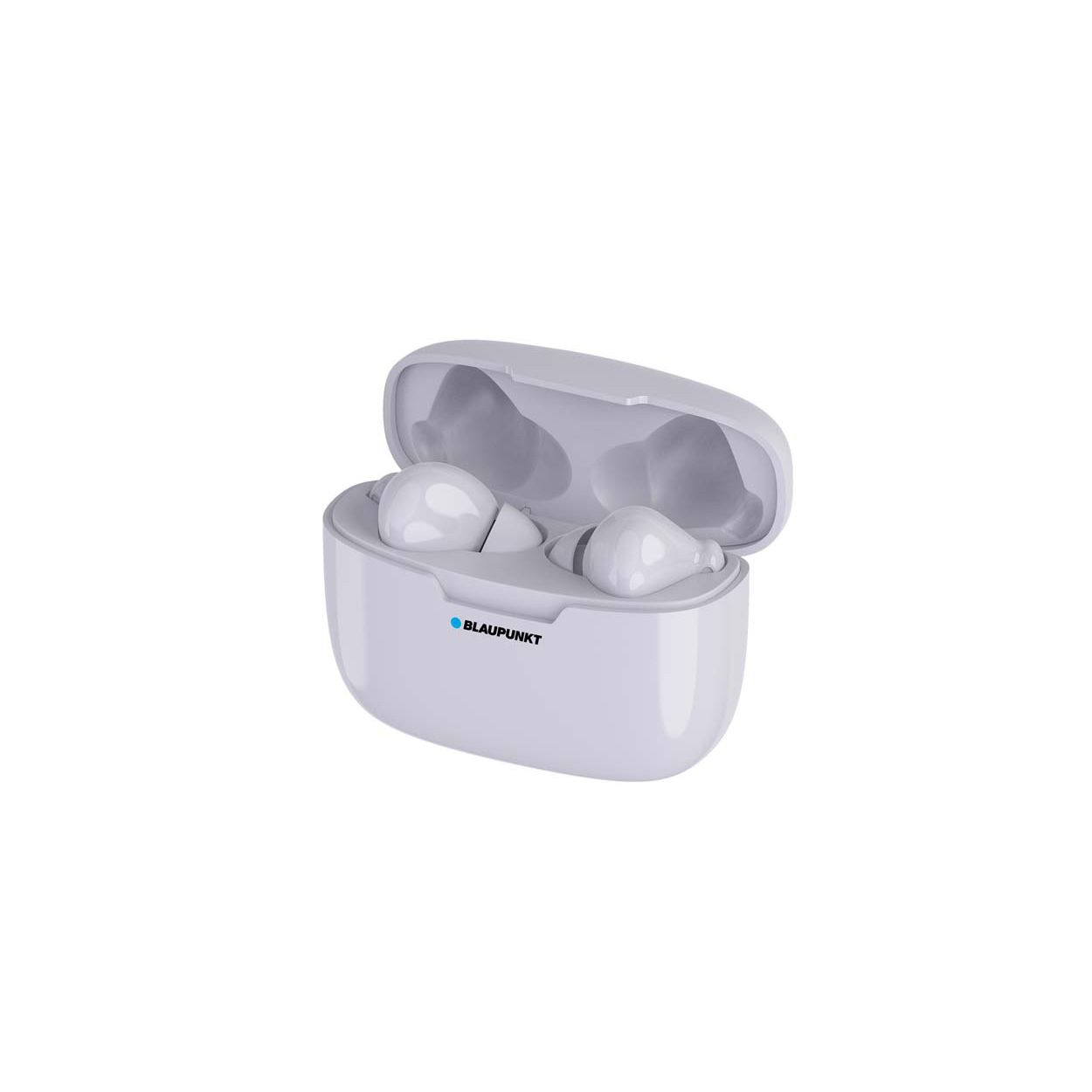 True Wireless Earbuds With Charging Case