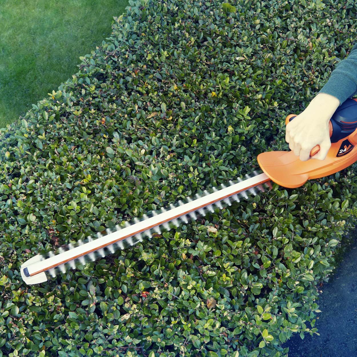 LawnMaster MX 24 52cm Cordless Hedge Trimmer