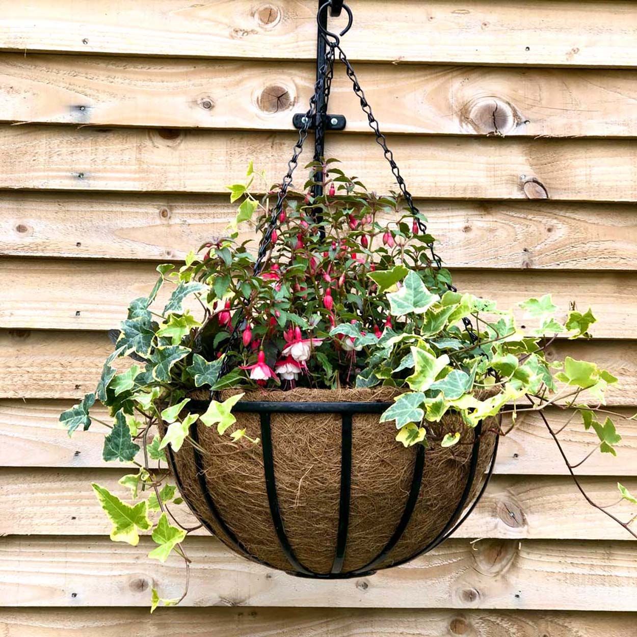 Pre formed Coco Hanging Basket Liner 12in 30cm