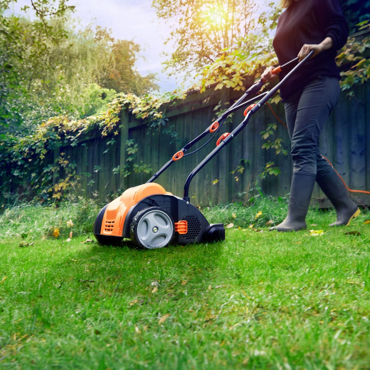 LawnMaster 2 in 1 Lawn Scarifier & Rake 