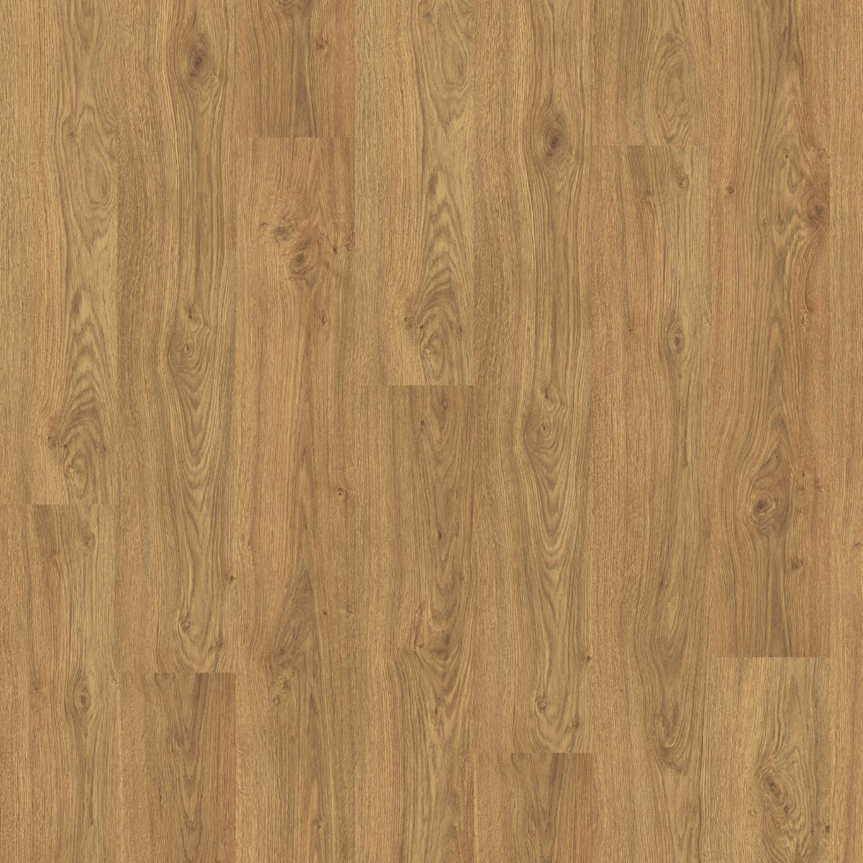 8mm Honey Asgil Laminate 1.99sqm