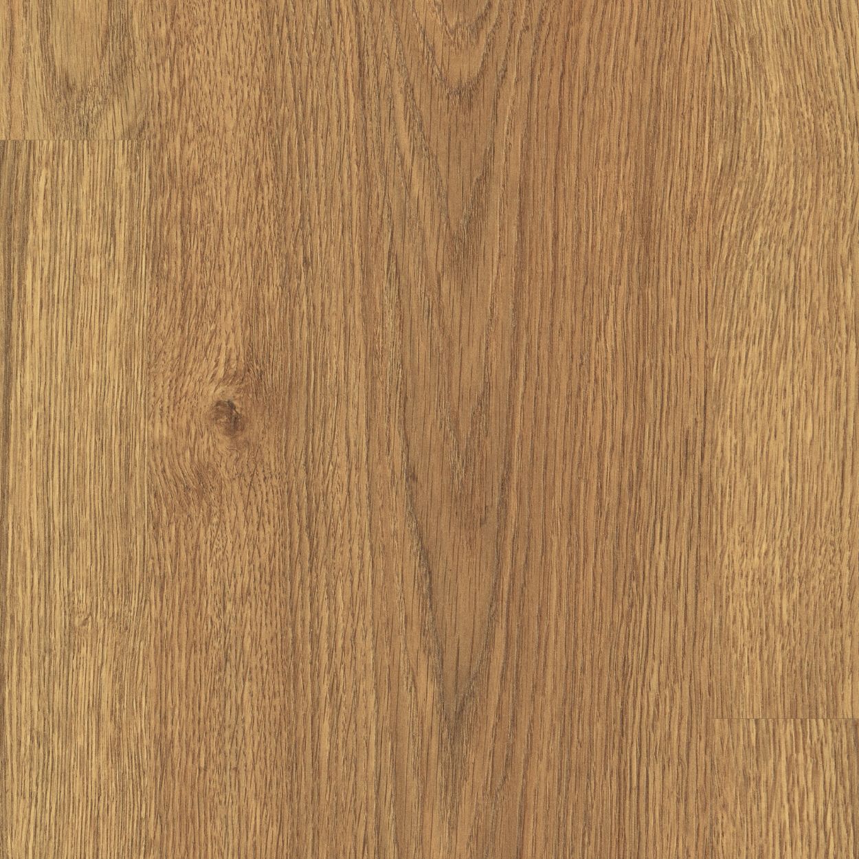 8mm Honey Asgil Laminate 1.99sqm