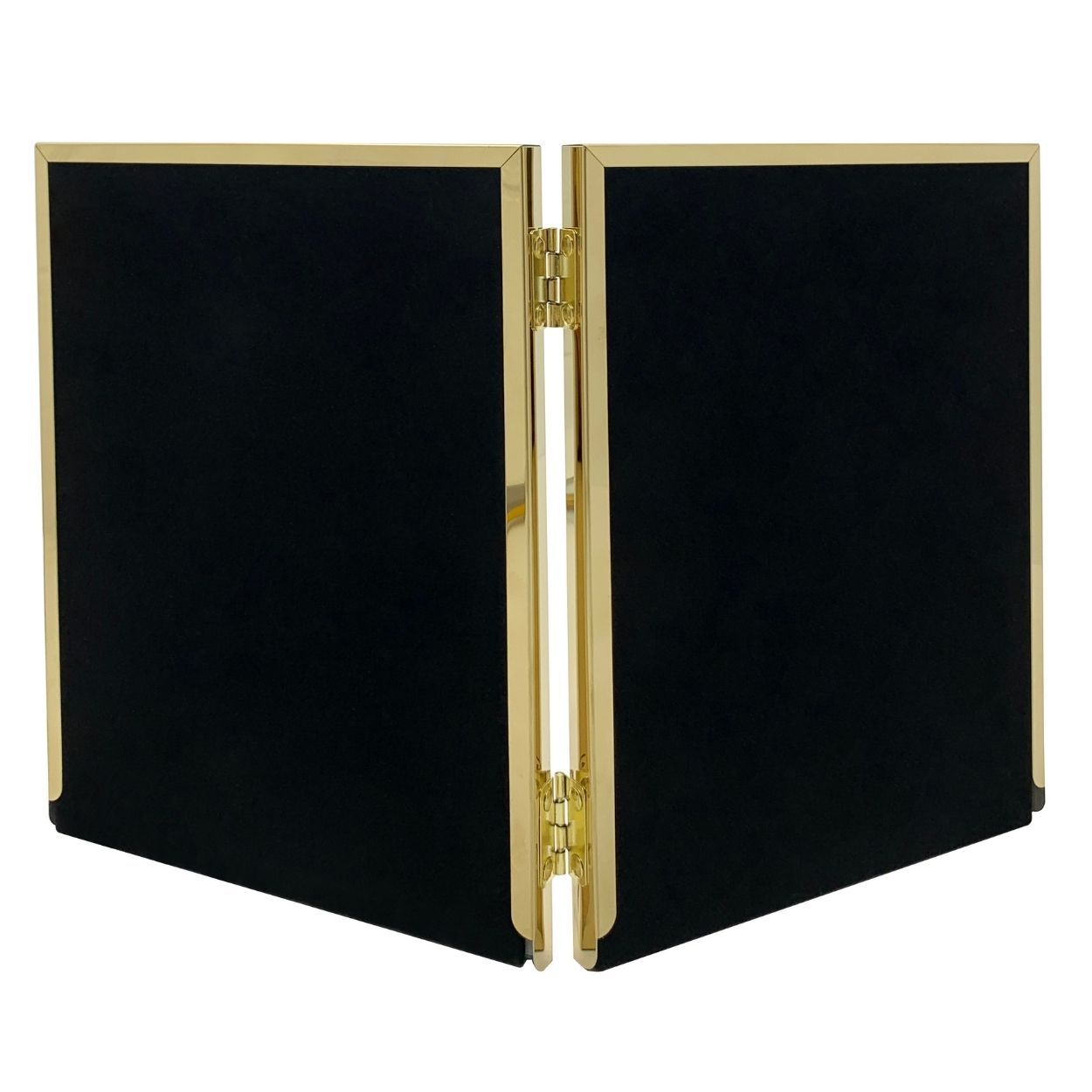 Gold Stainless Steel Double Frame 6x8 matted to 5x7