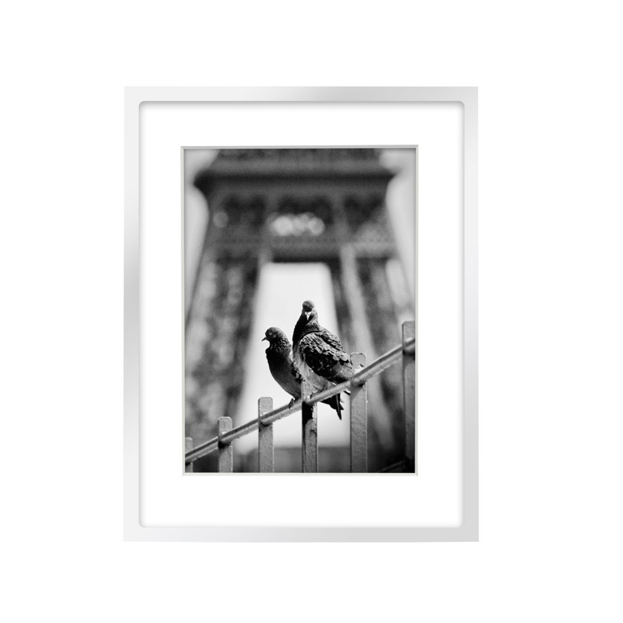 Silver Stainless Steel Box Frame 7x9 matted to 5x7