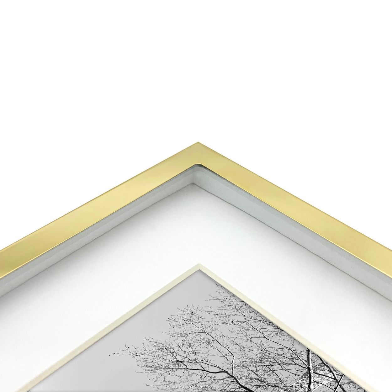 Silver Stainless Steel Box Frame 10x12 matted to 8x10