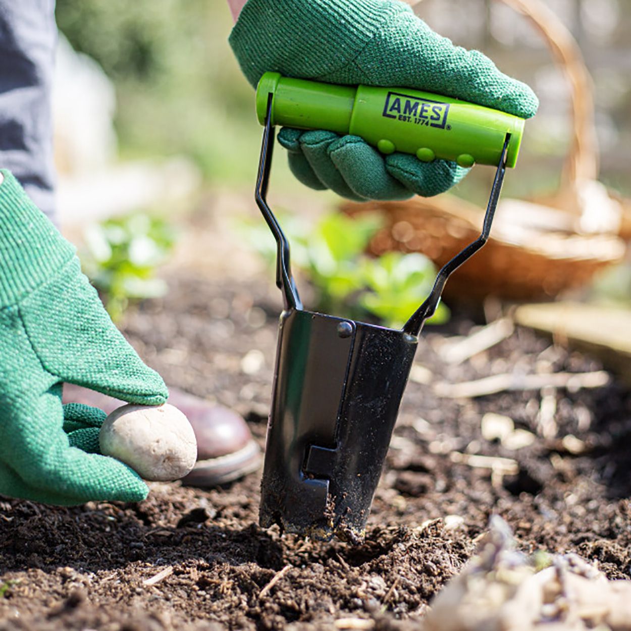 AMES Hand Bulb Planter