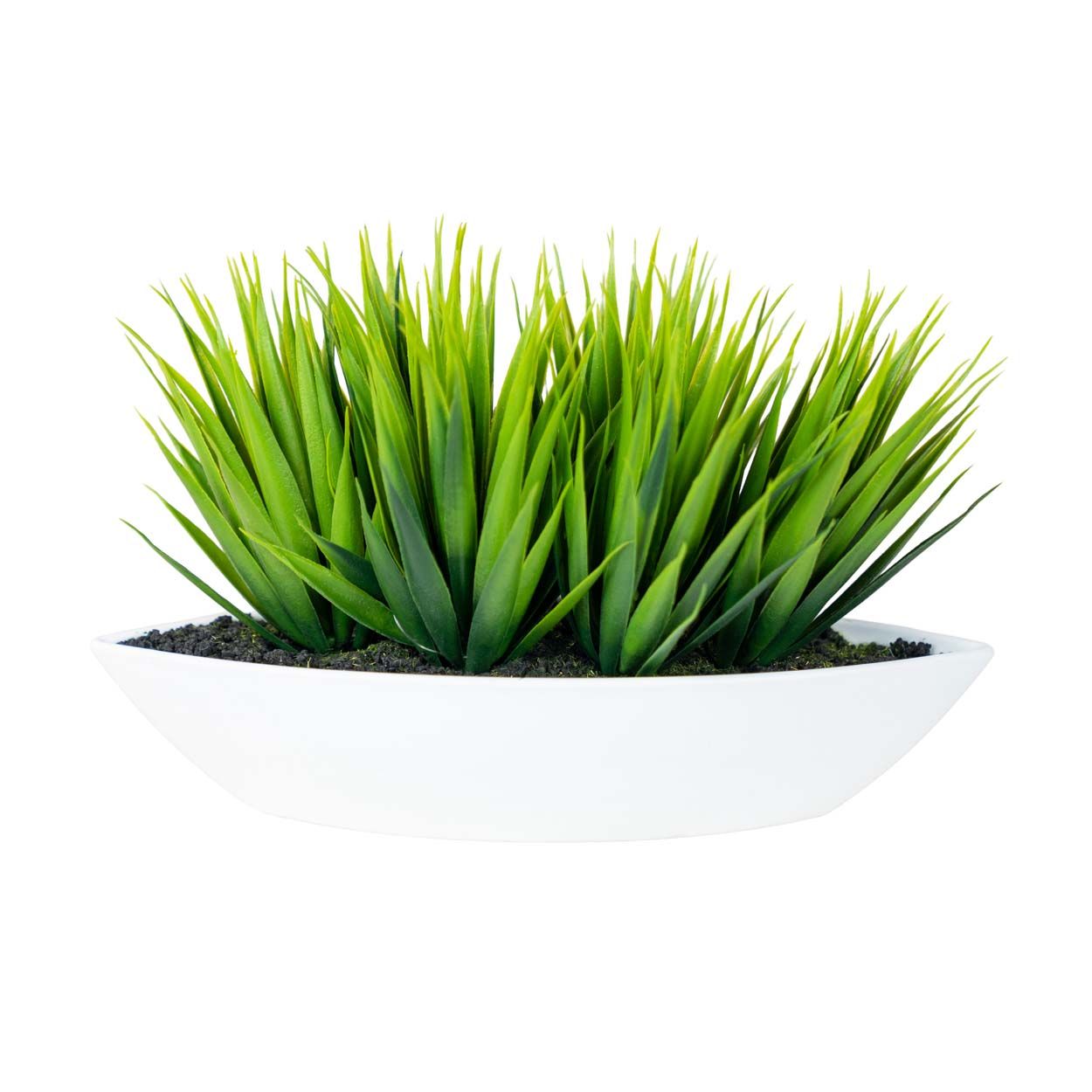 Grass With White Pot