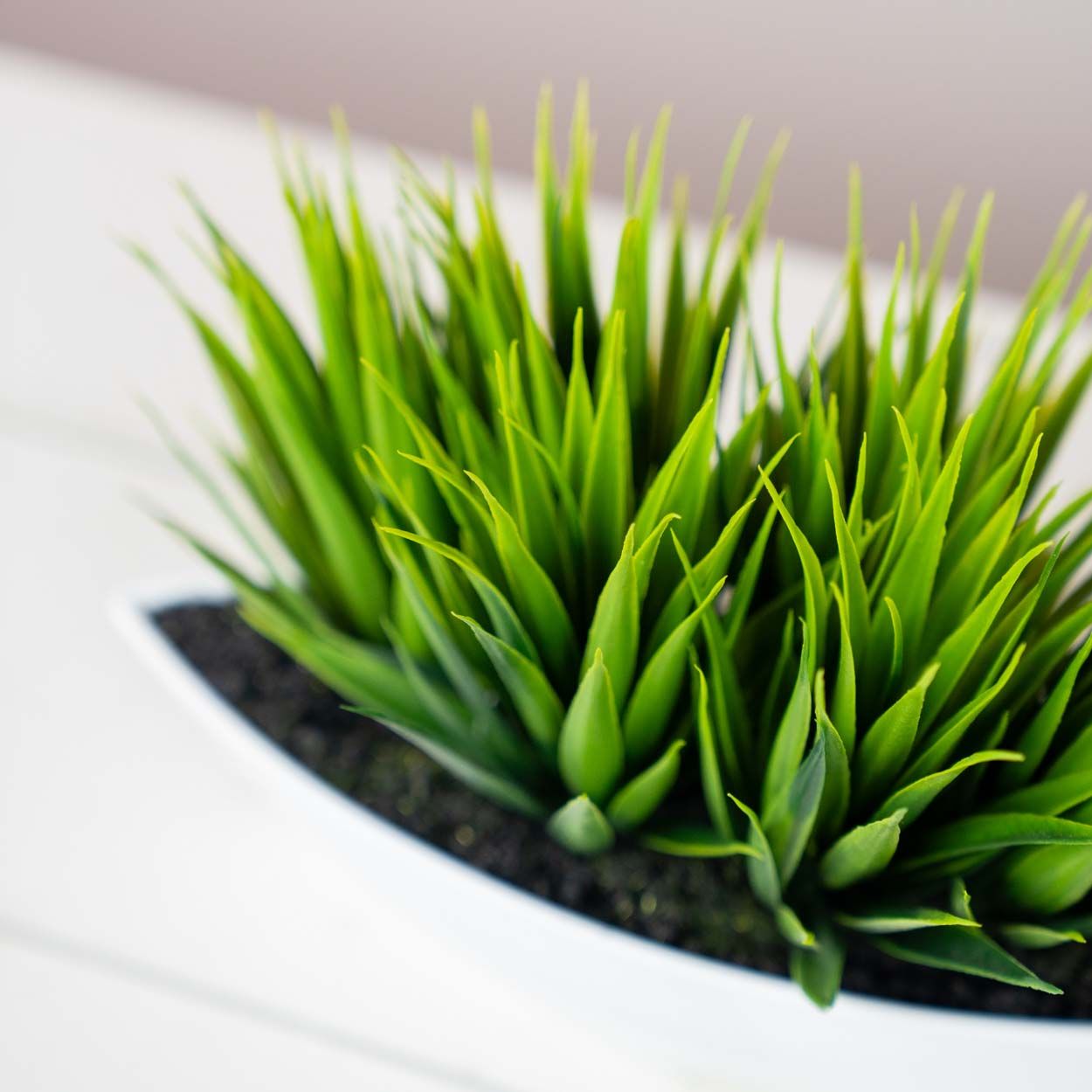 Grass With White Pot