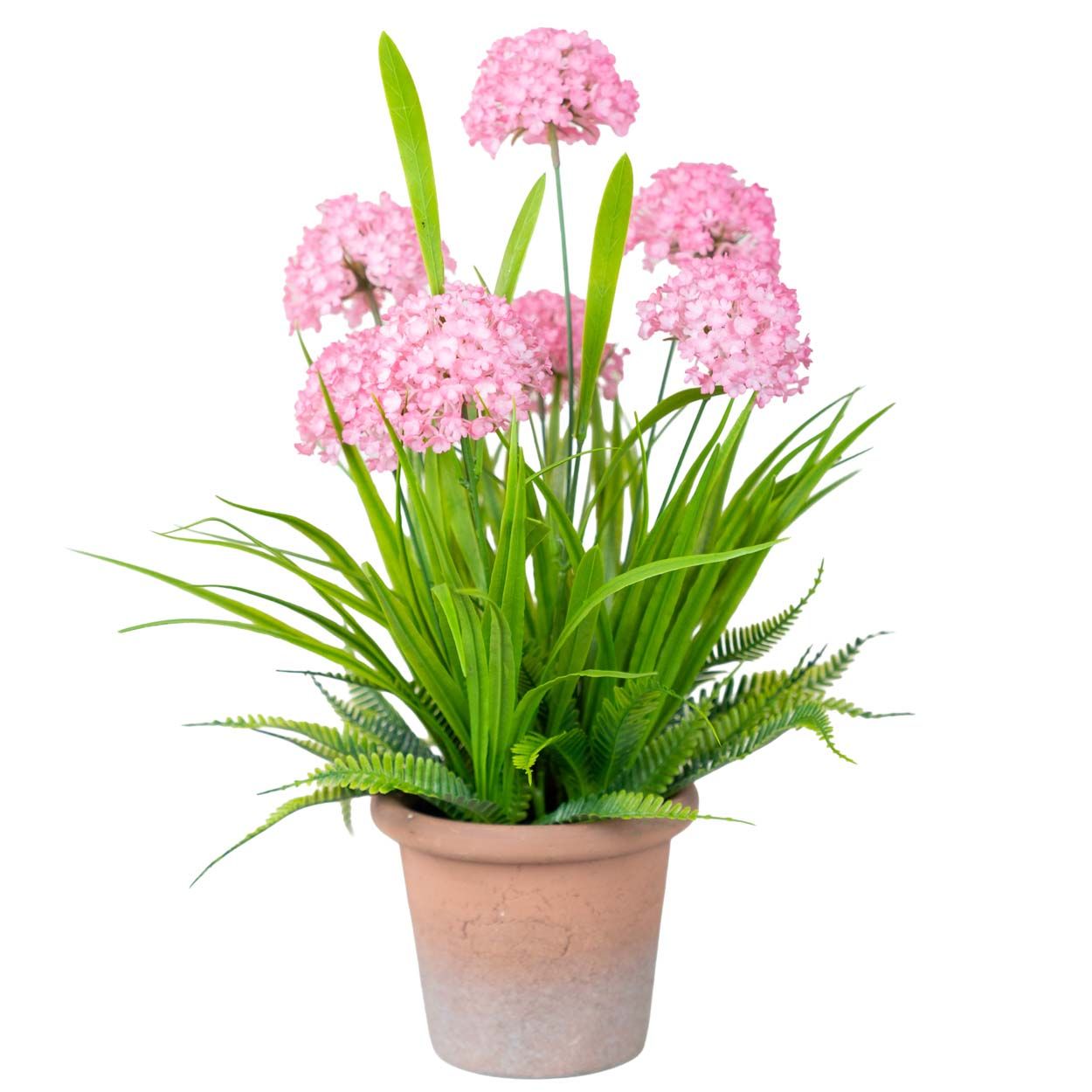 Flowers In Pot Pink