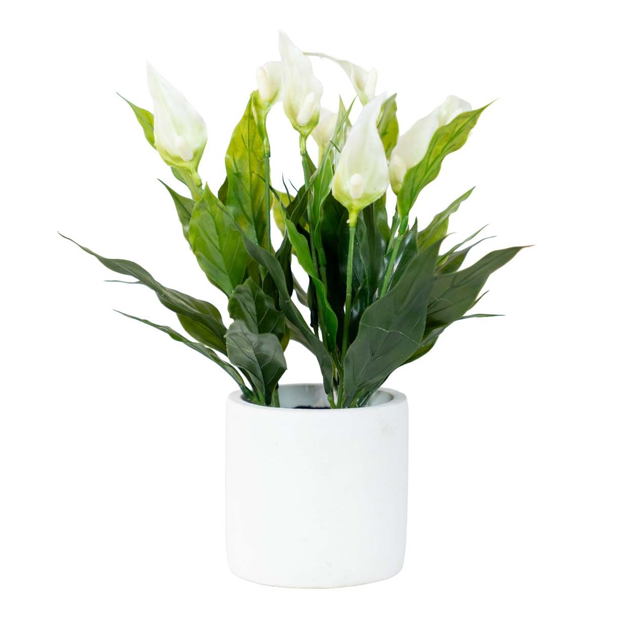 Artificial Peace Lilies 30Cm