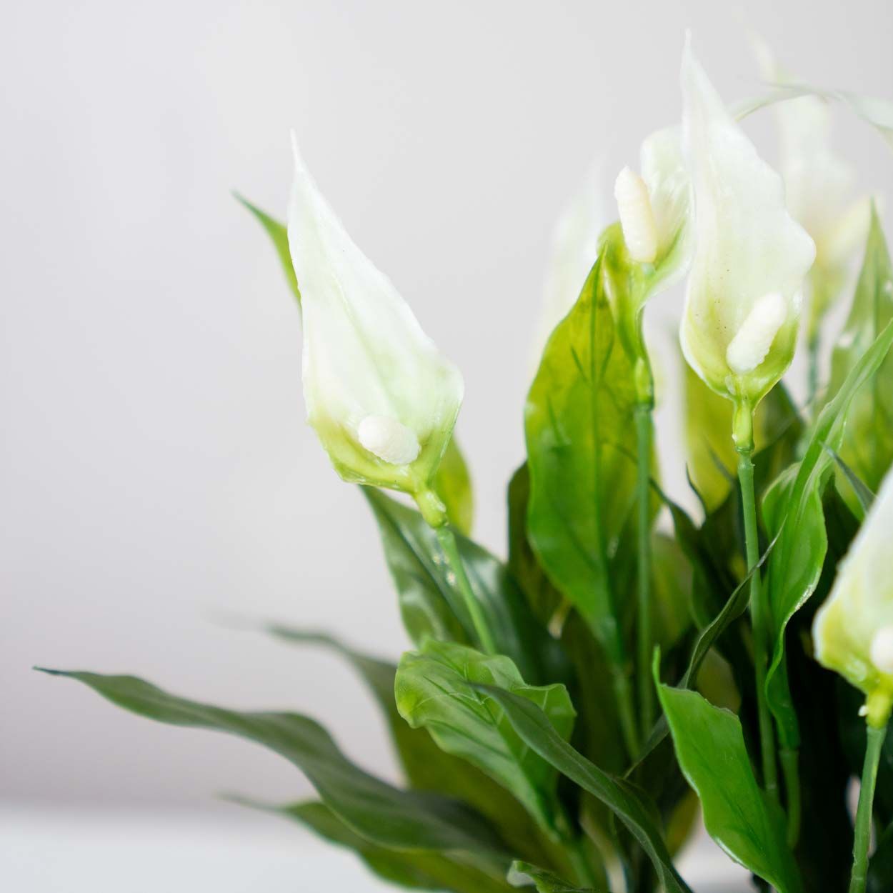 Artificial Peace Lilies 30Cm