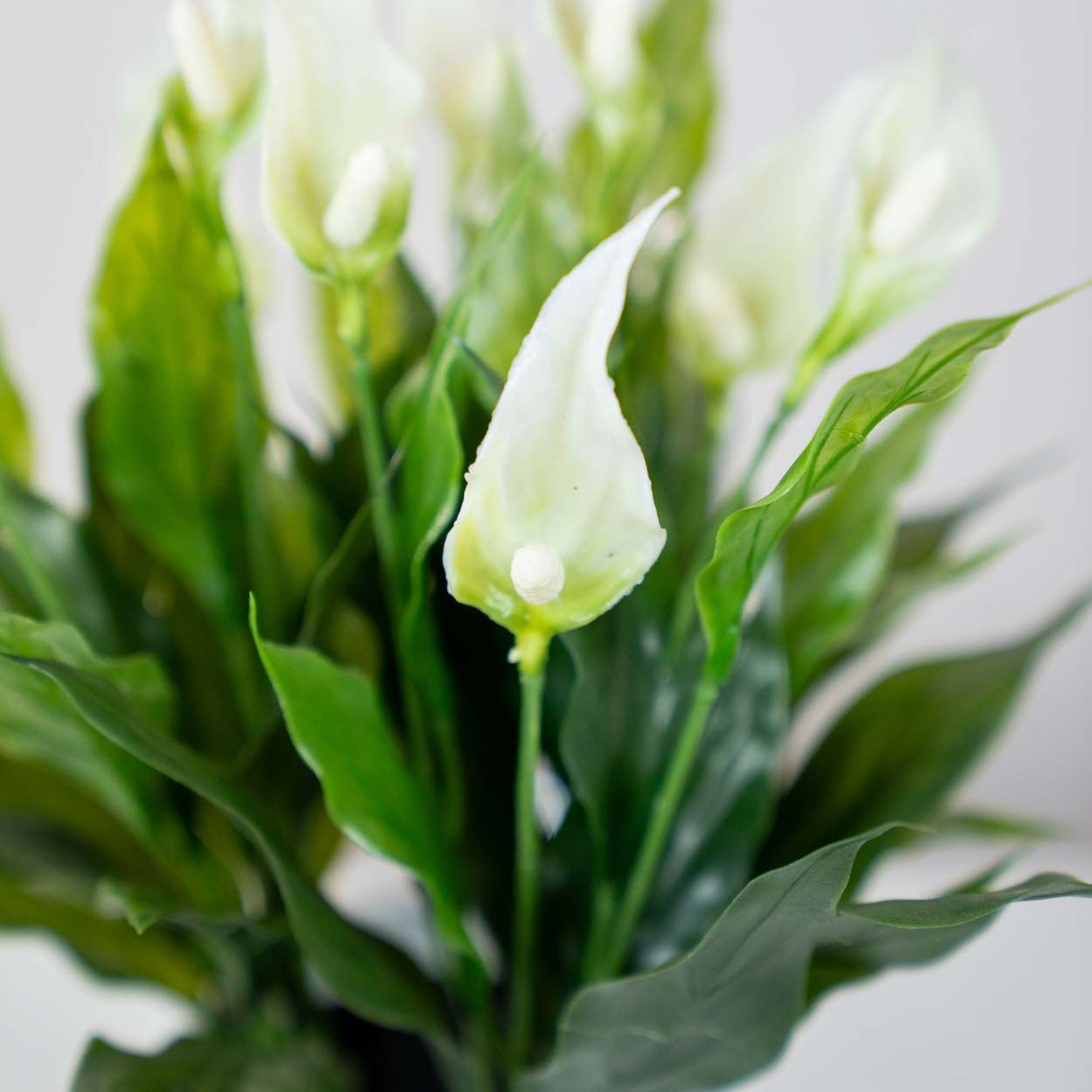Artificial Peace Lilies 30Cm