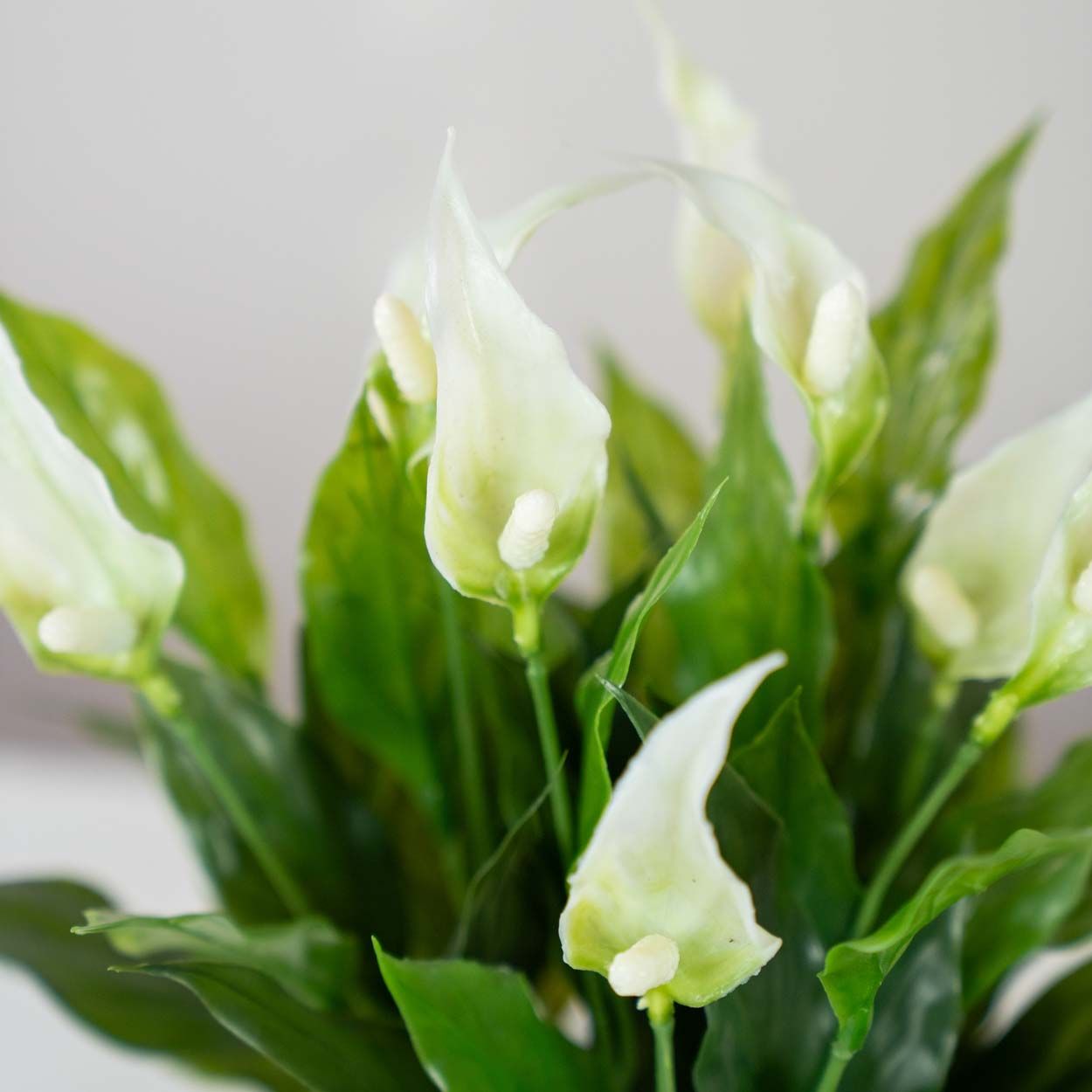 Artificial Peace Lilies 30Cm