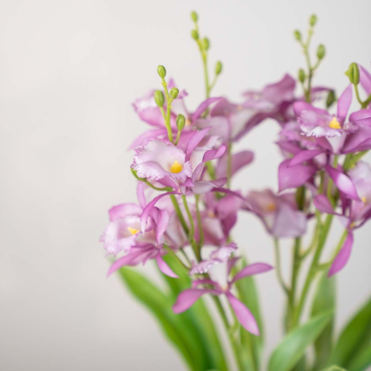 Artificial Orchid Potted 42Cm Pink