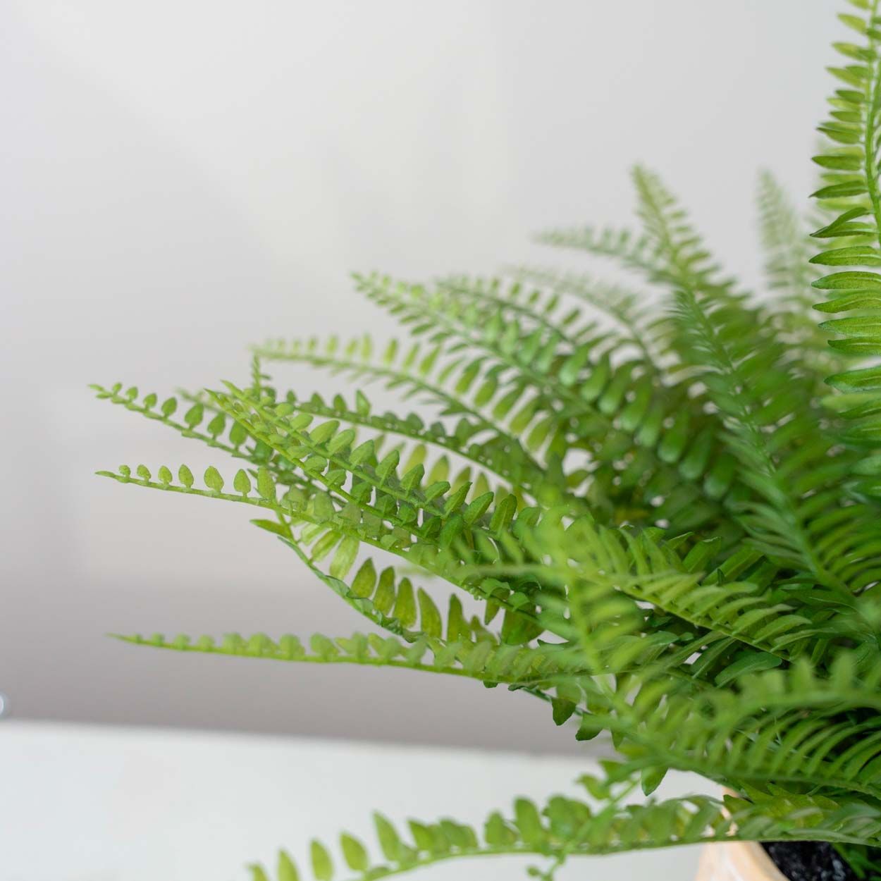 Artificial Fern Potted 34Cm