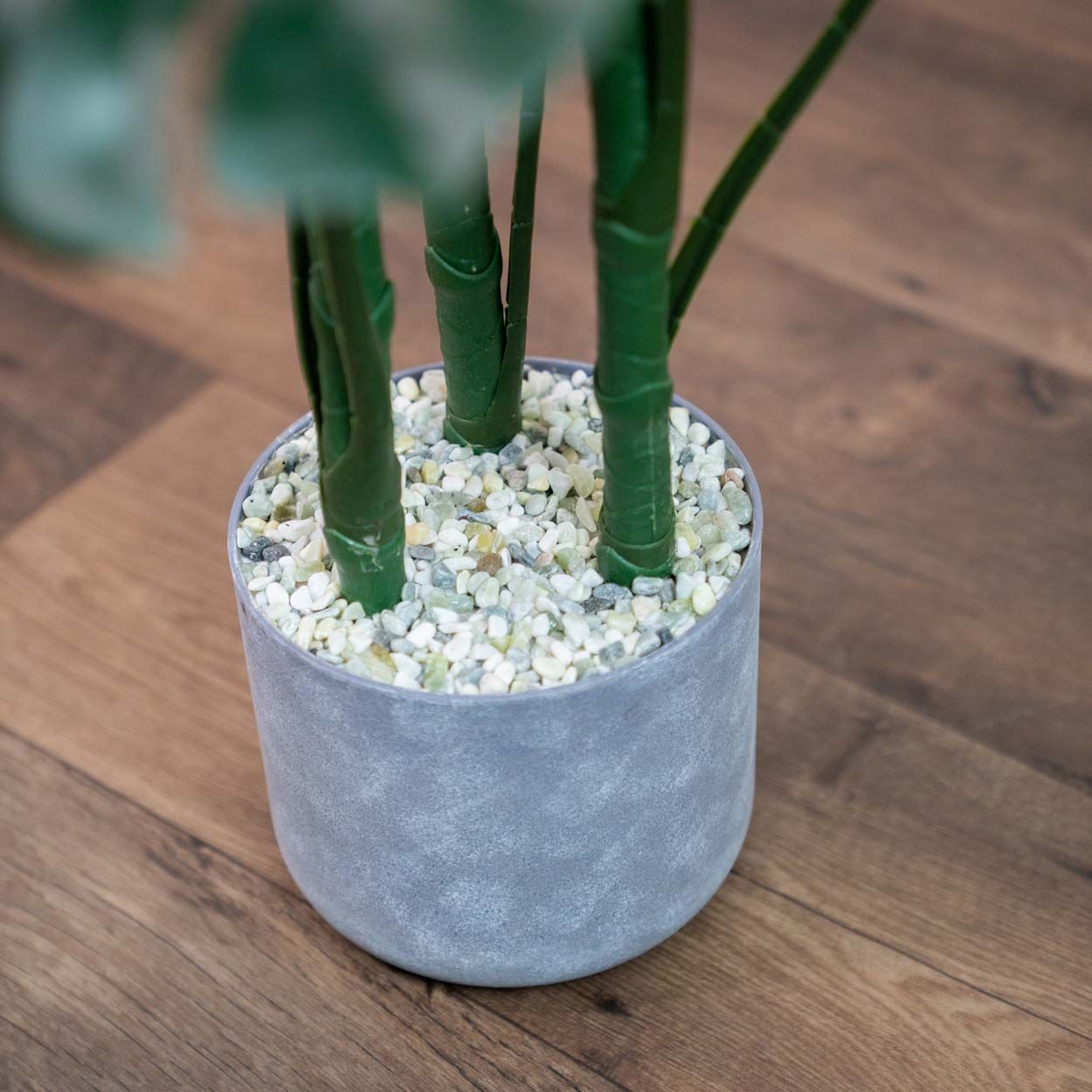 Monstera 120Cm