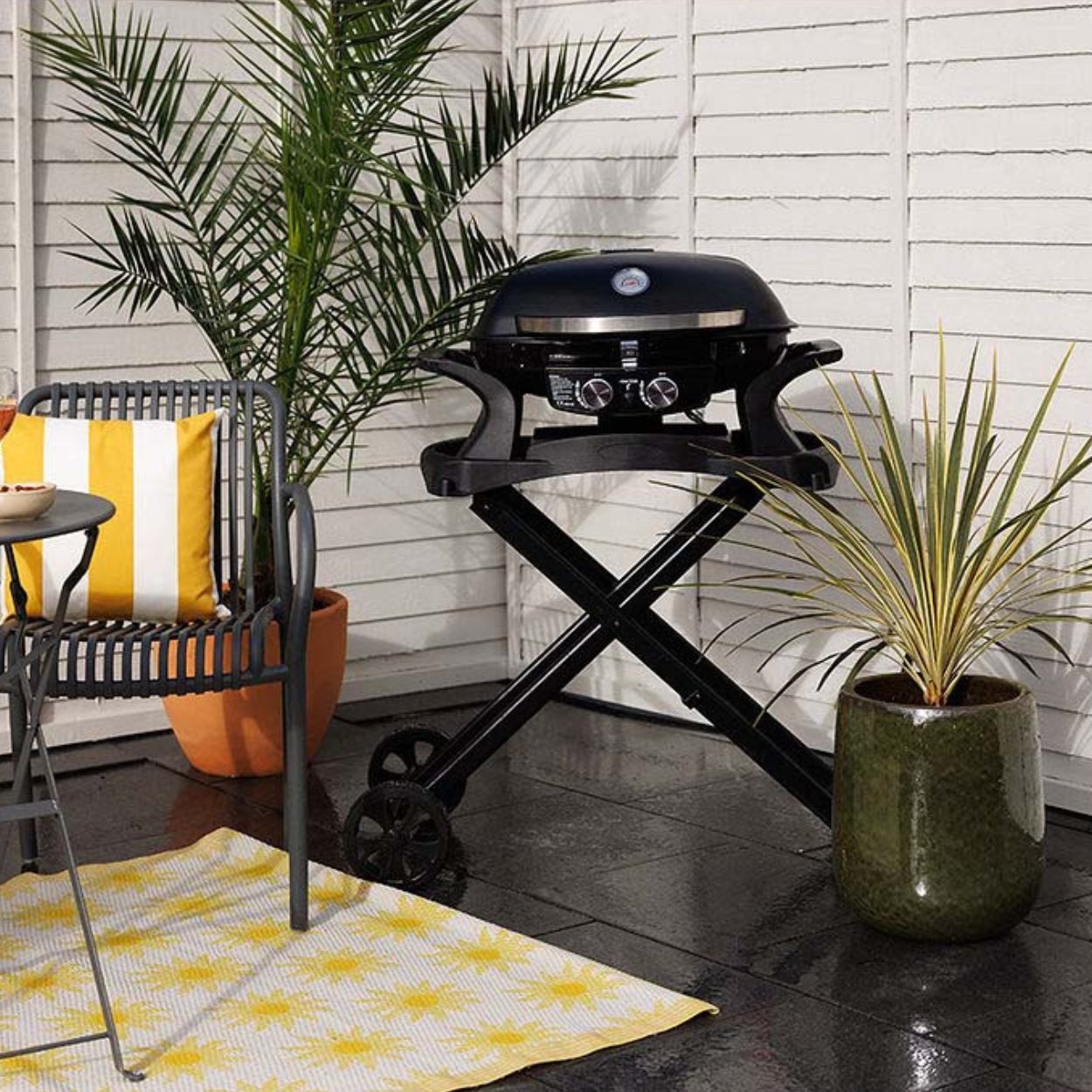 Phoenix Portable BBQ 2 Burner