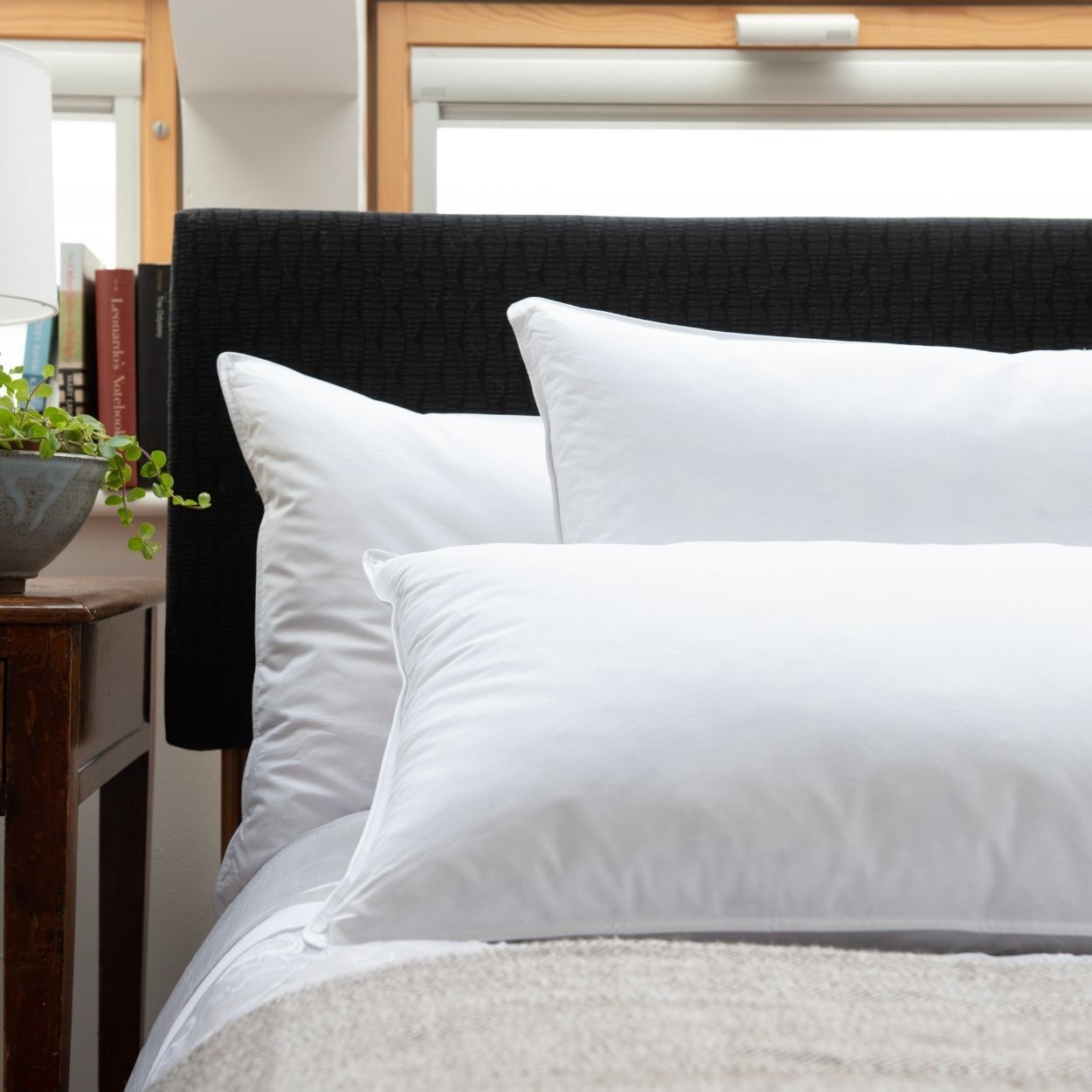 Softened Duck Feather Pillow Pair