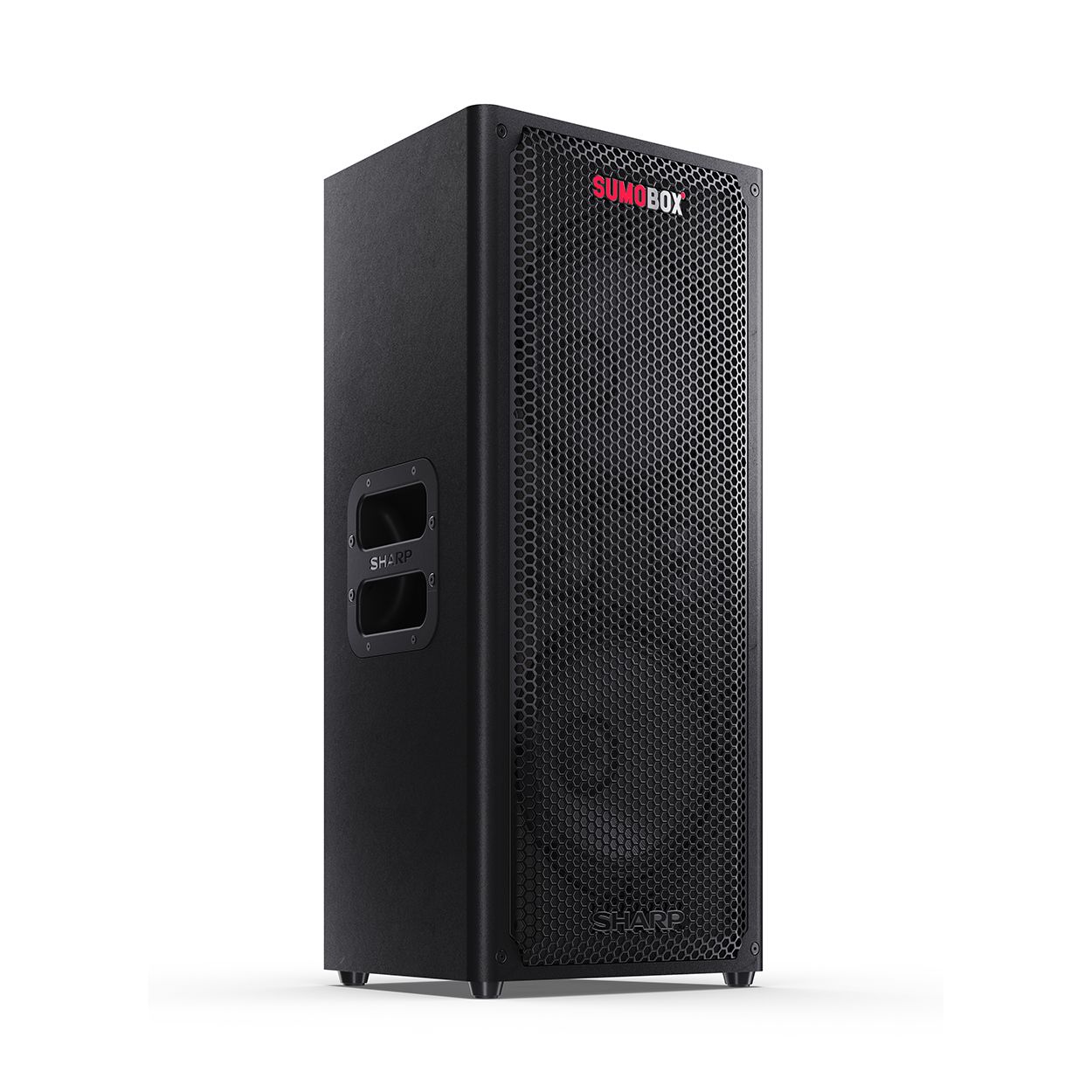 Sharp High performance portable speaker