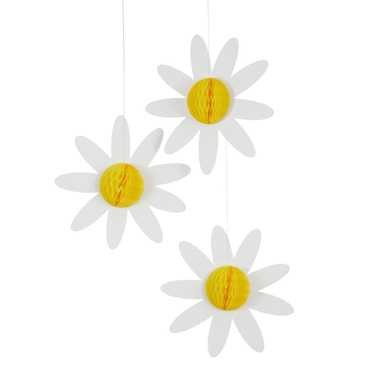 Daisy Honeycombs