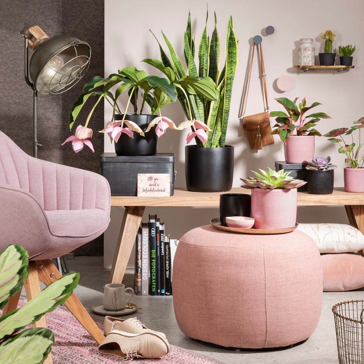 Scheurich Glazed Pot 24cm Ebano