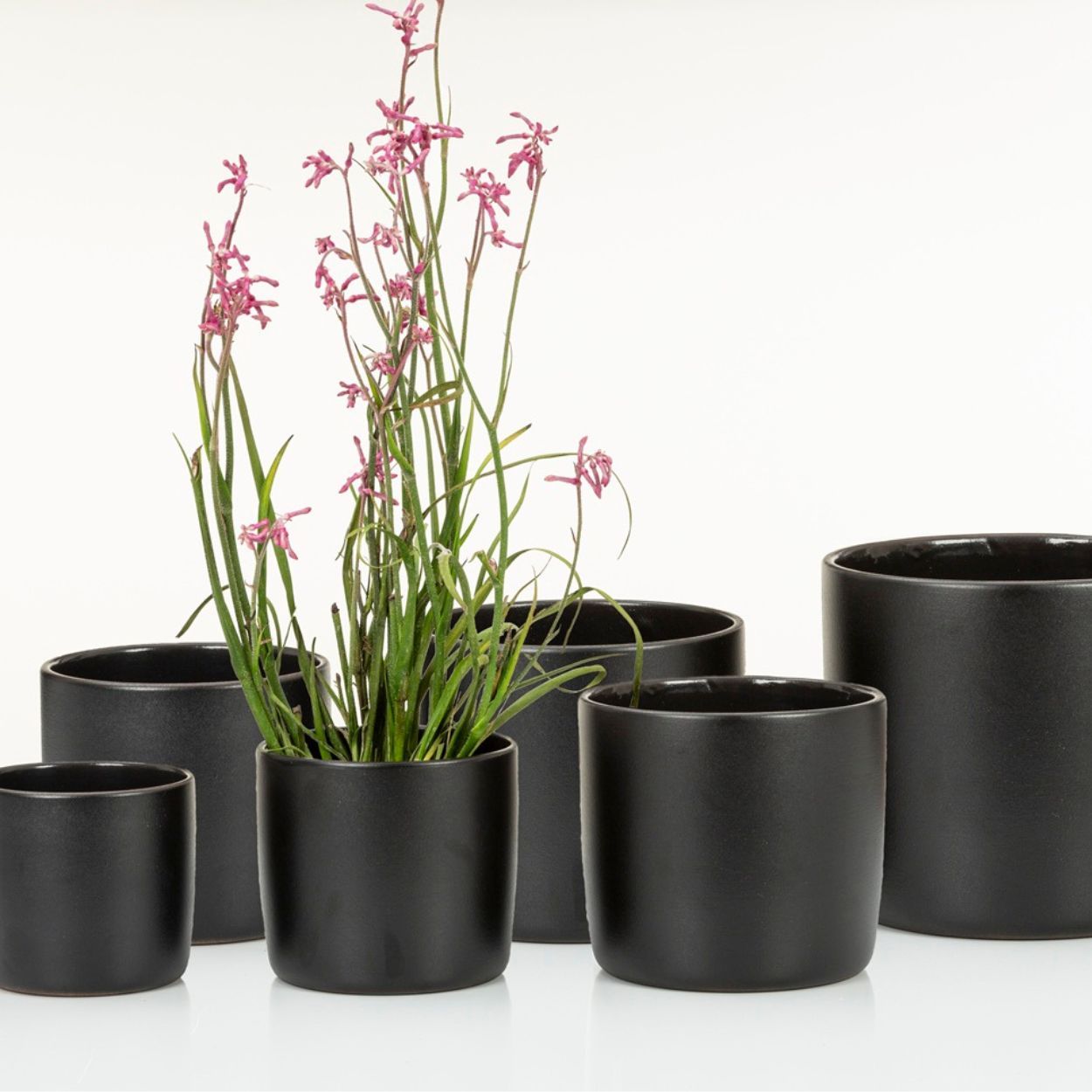 Scheurich Glazed Pot 24cm Ebano