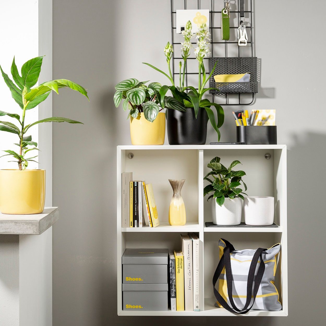 Scheurich Glazed Pot 24cm Perla