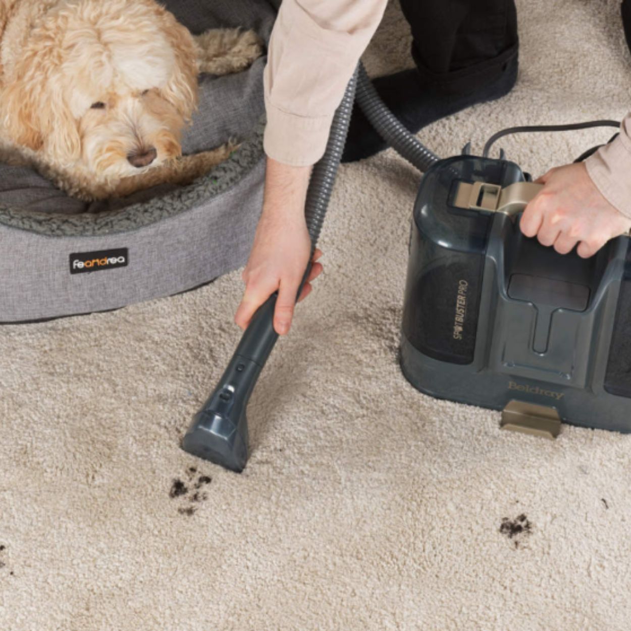 Beldray Spot Buster Pro- Carpet Cleaner