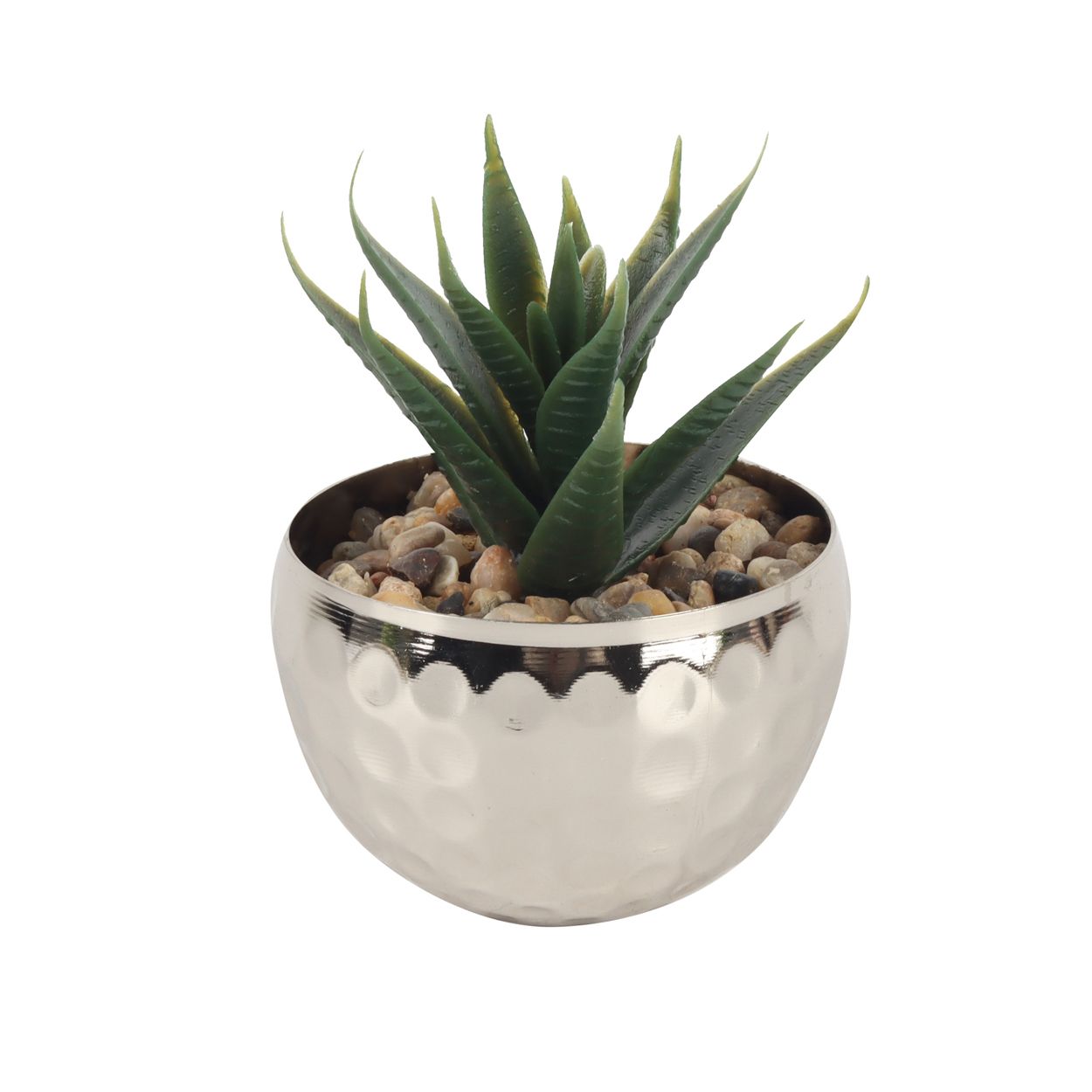 Aloe Vera in Silver Pot