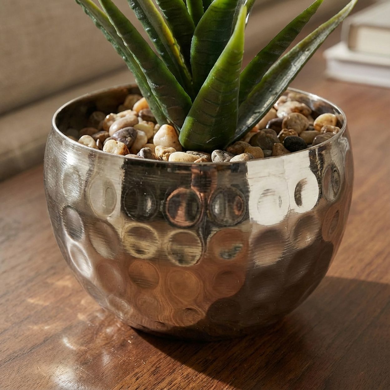 Aloe Vera in Silver Pot