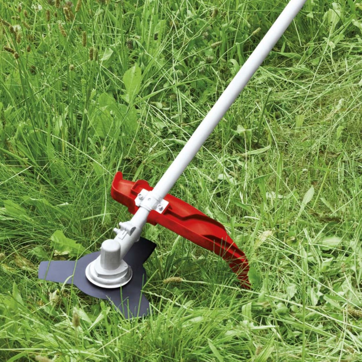 Einhell Petrol Scythe Bush Cutter  GH-BC 43