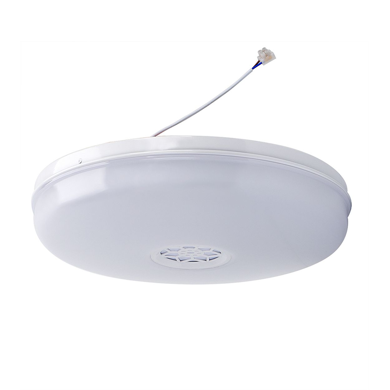 Smart WiFi 24W LED Ceiling Wall Bulkhead with Bluetooth Speaker, 2700K to 6500K & RGB CCT & Dimmable