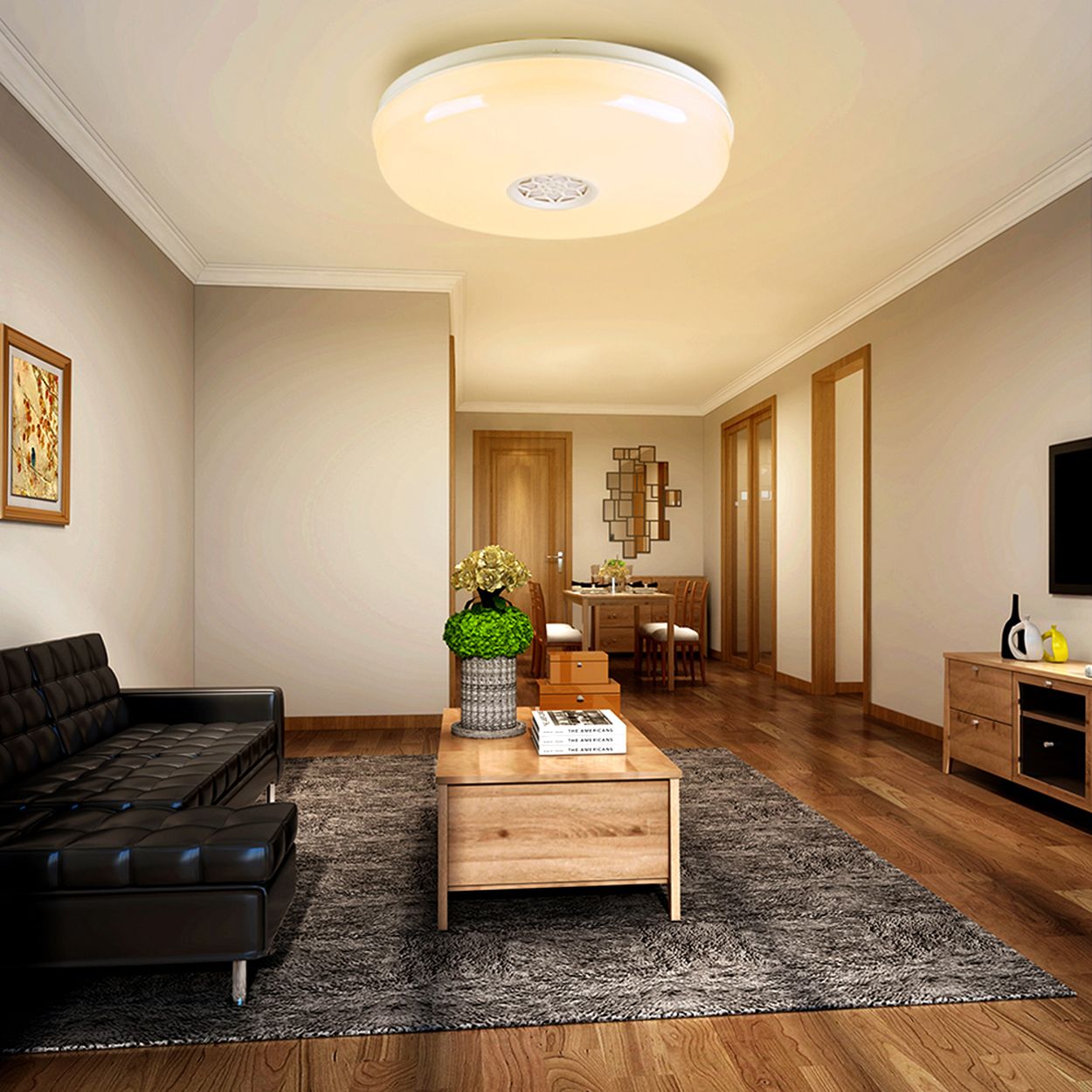 Smart WiFi 24W LED Ceiling Wall Bulkhead with Bluetooth Speaker, 2700K to 6500K & RGB CCT & Dimmable