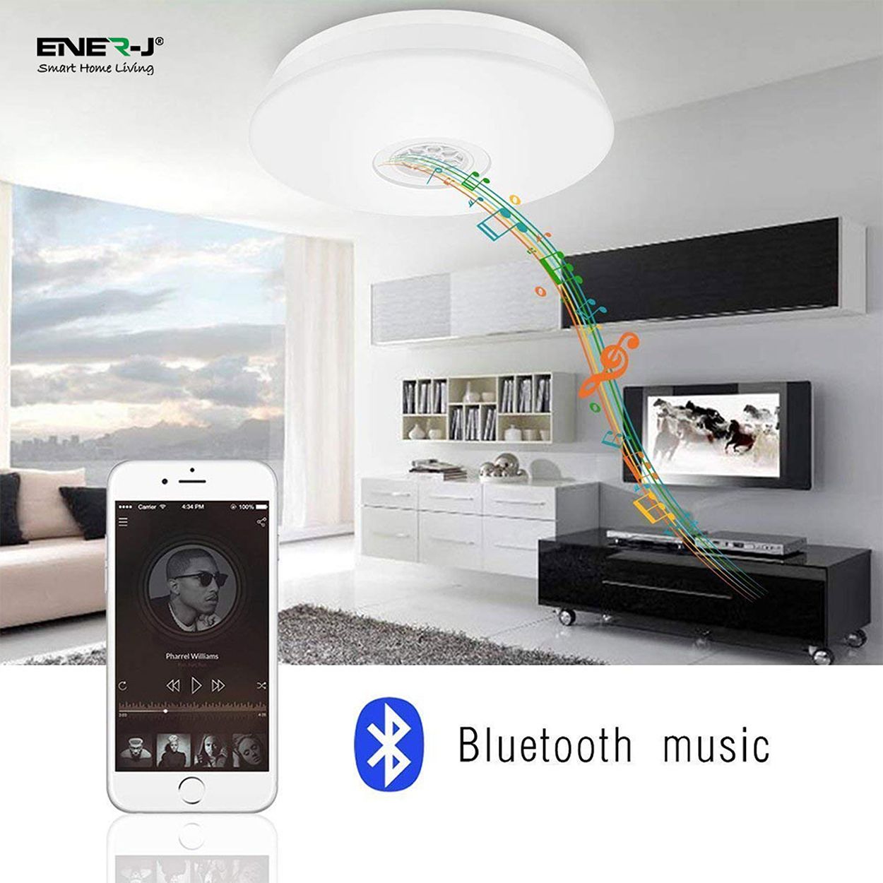 Smart WiFi 24W LED Ceiling Wall Bulkhead with Bluetooth Speaker, 2700K to 6500K & RGB CCT & Dimmable